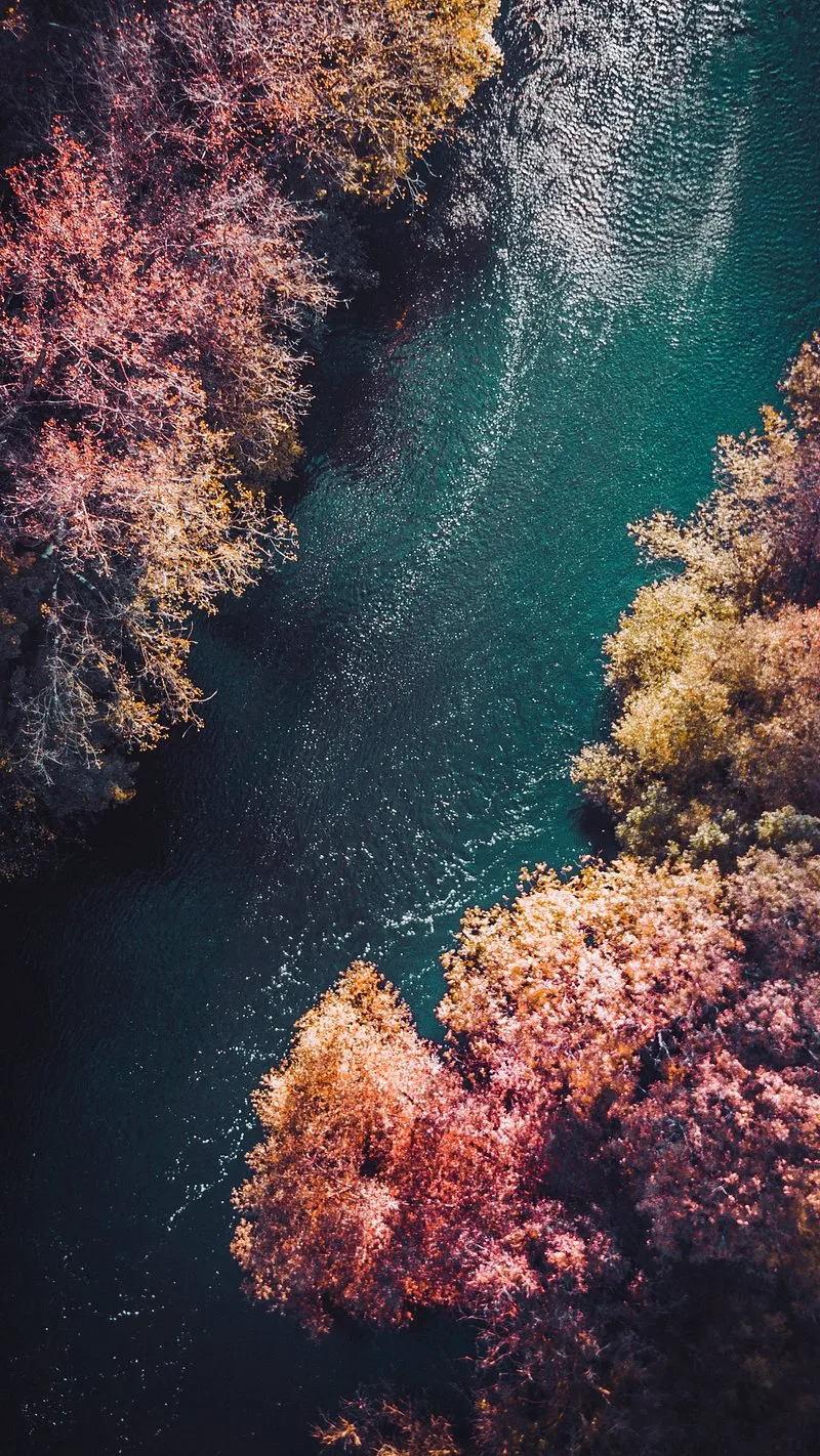 Aerial Forest River Pathway for iPhone 15 Pro Max Wallpaper