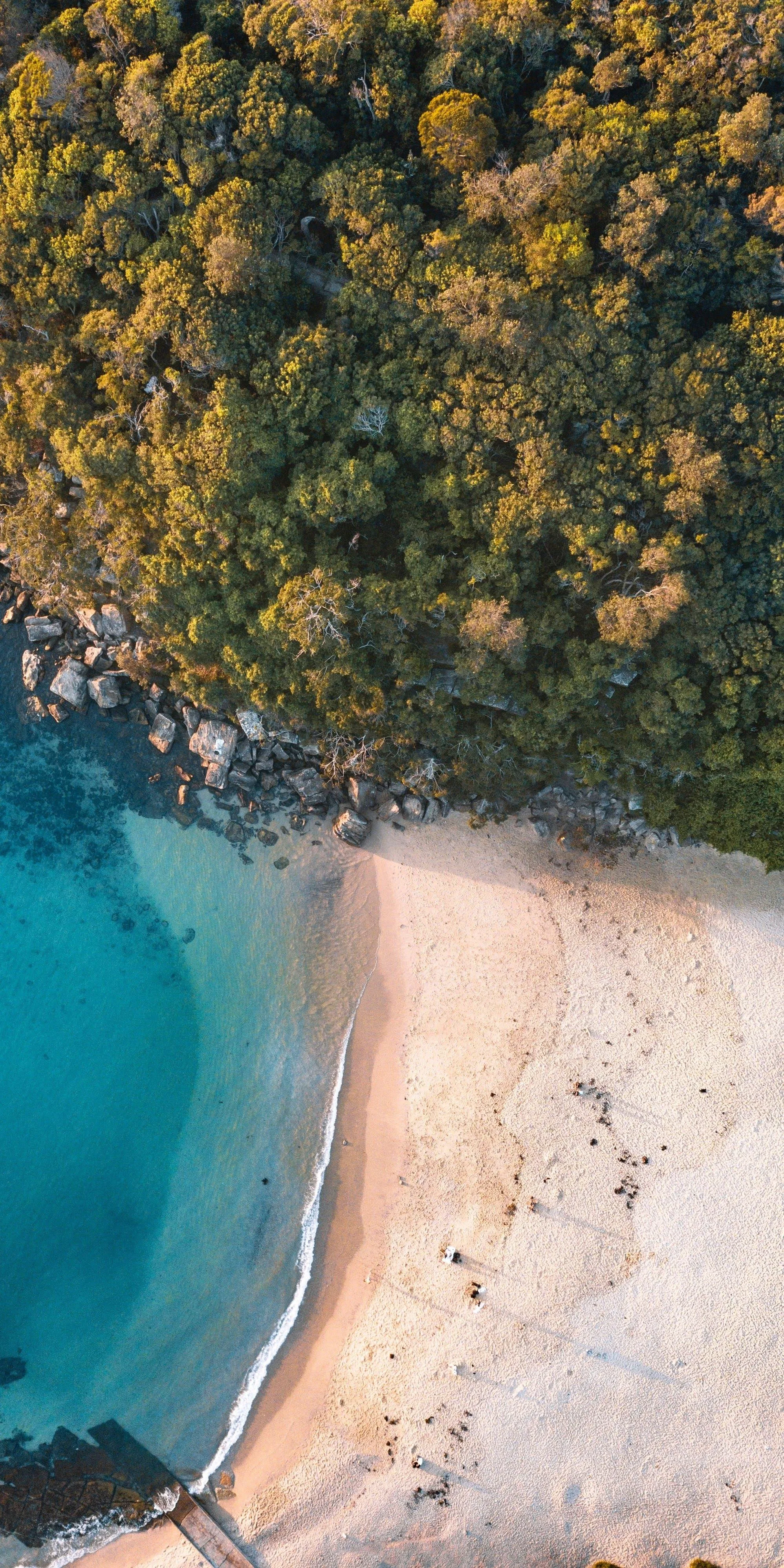 Aerial View of Beach with Turquoise Water and Sandy Shore