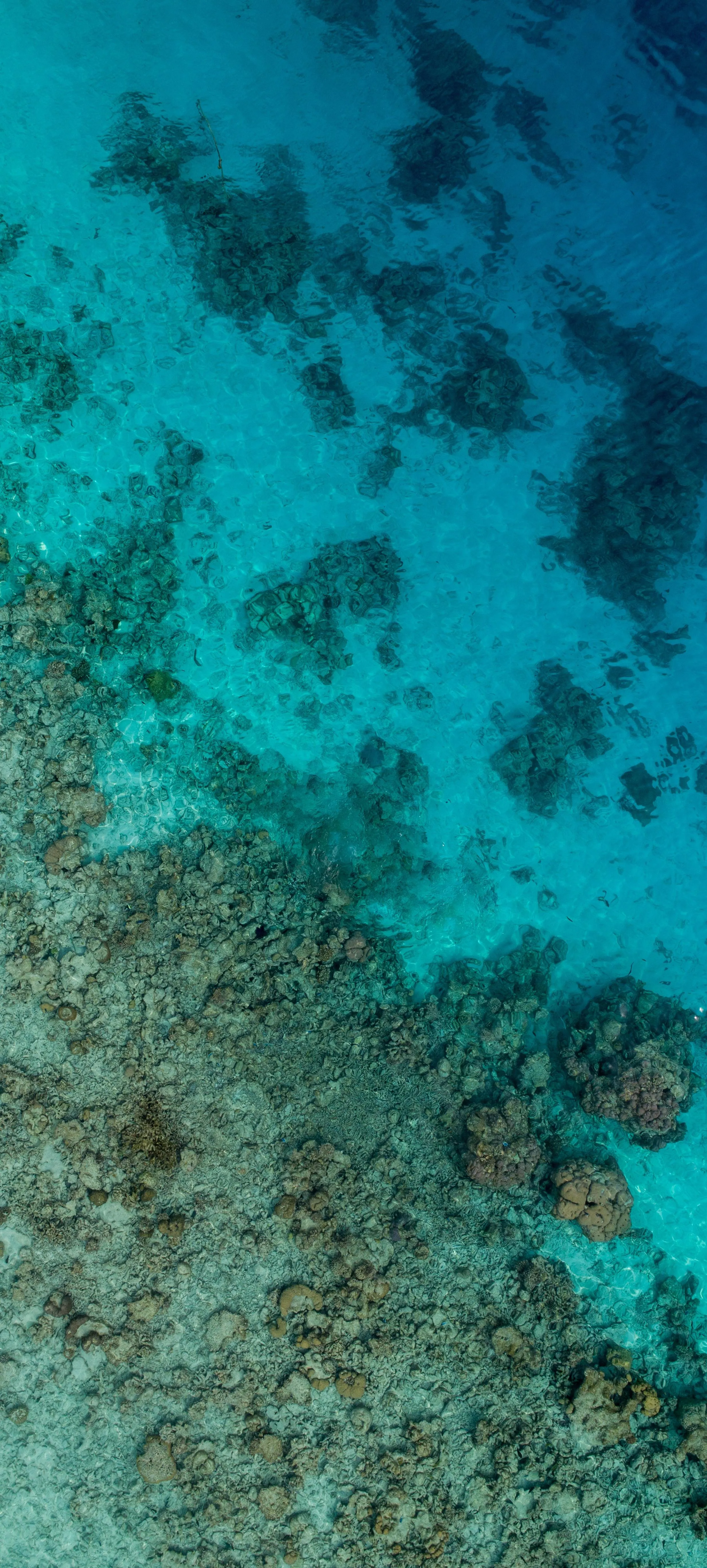Aerial View of Clear Turquoise Ocean Coral Reefs Image