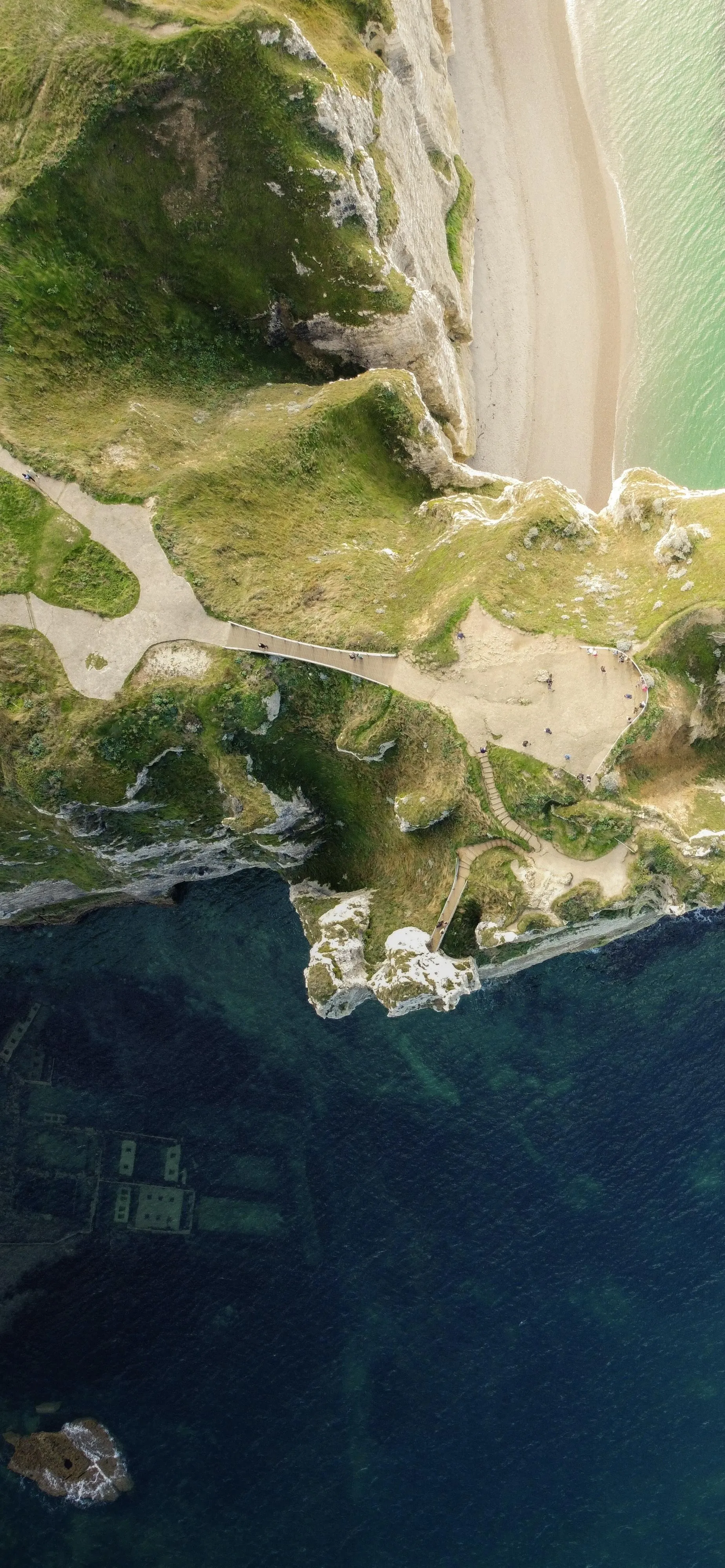 Aerial View of Coastal Landscape with Sandy Beach and Trees