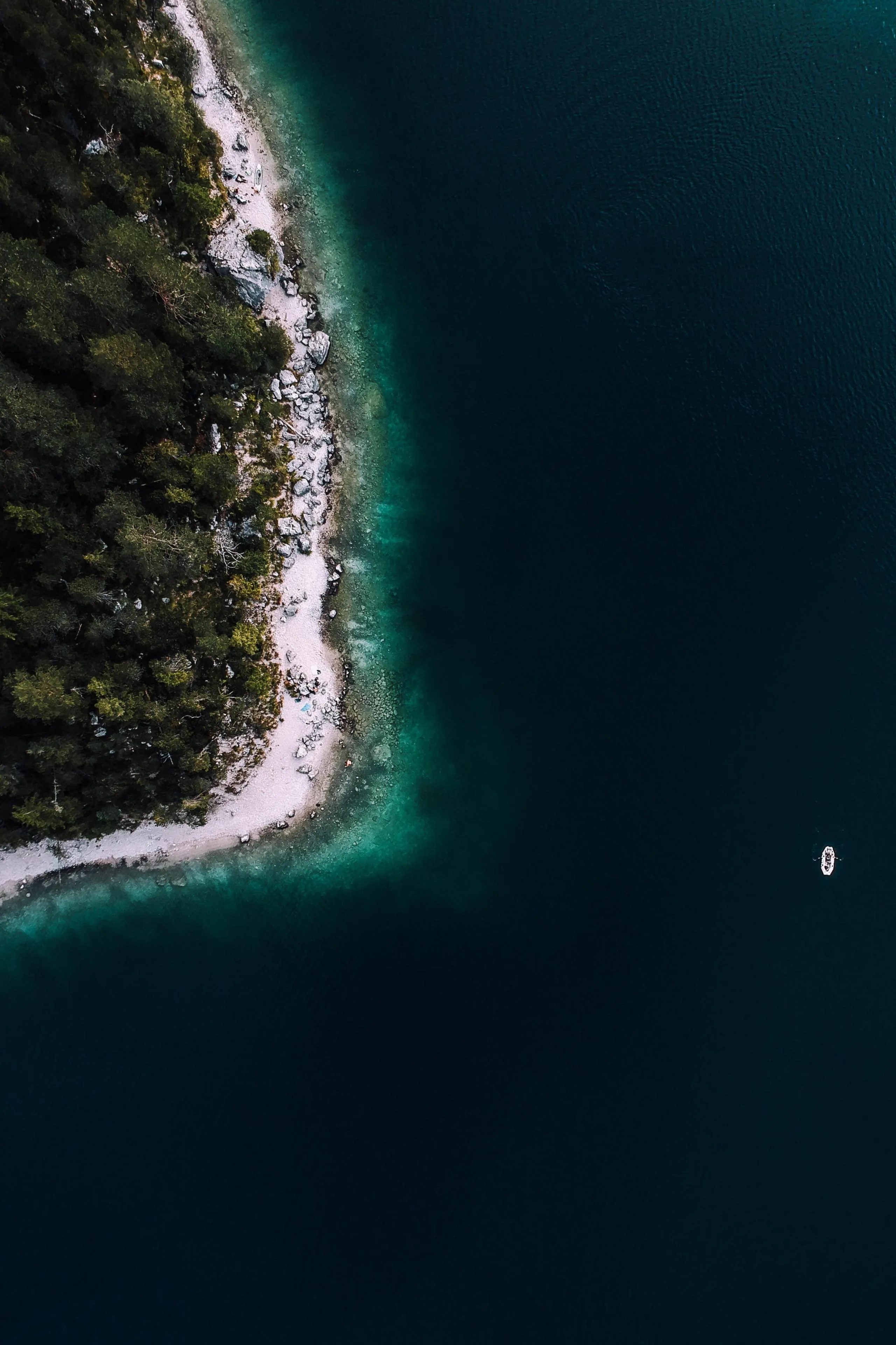 Aerial View of Forest and Clear Blue Ocean Wallpaper 8K