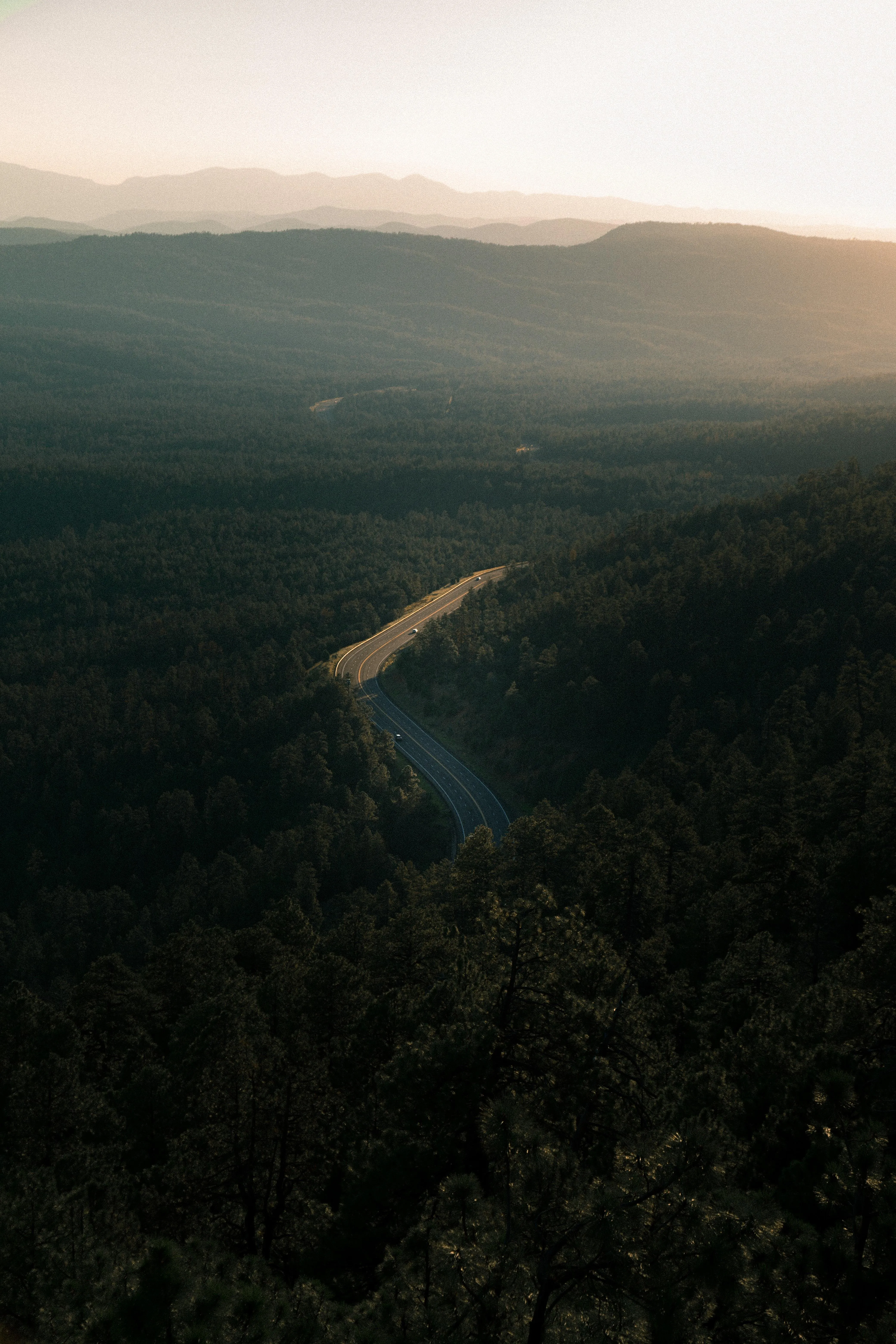Aerial View of Forest Road During Golden Hour Sunset