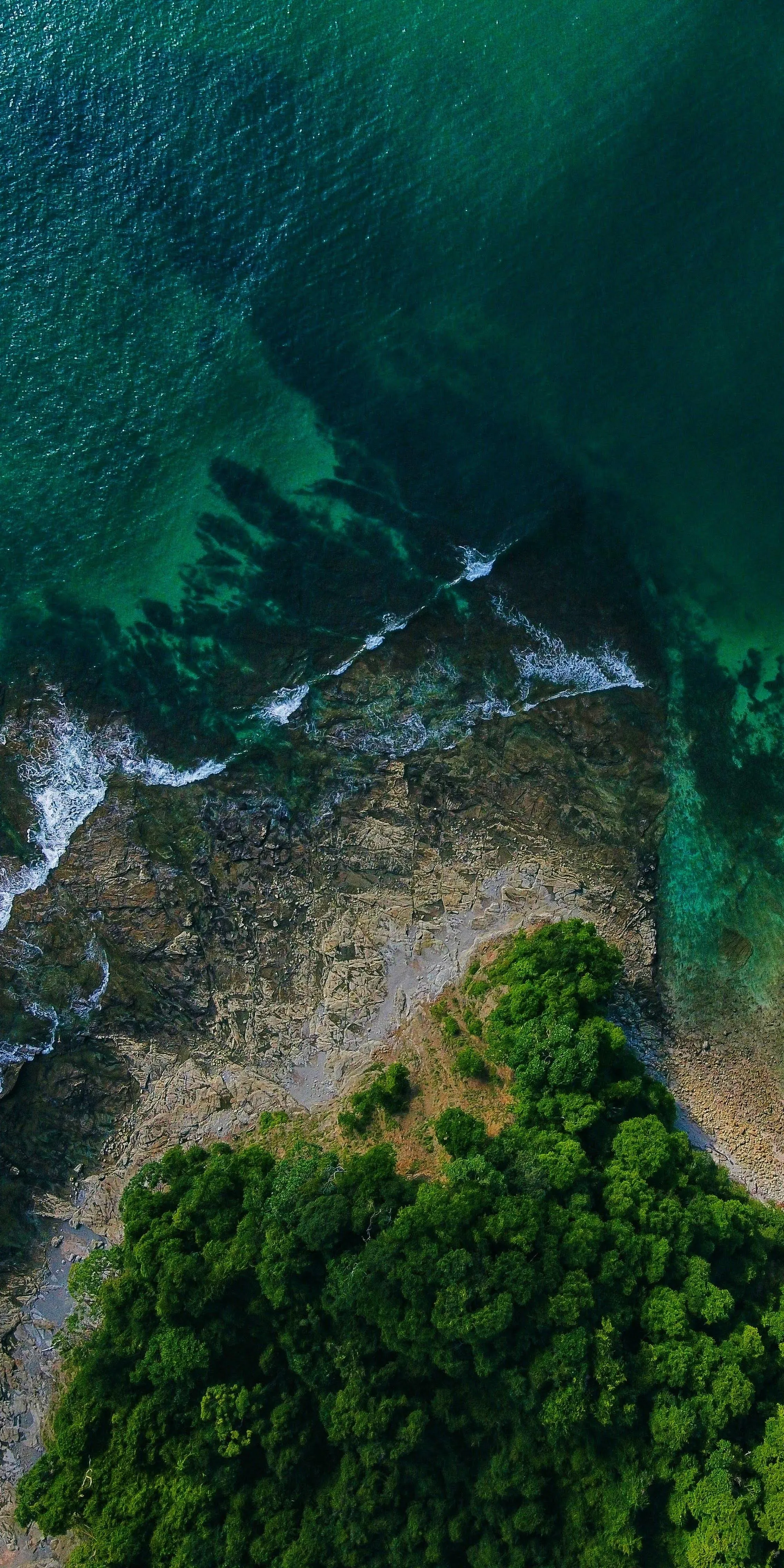 Aerial View of Lush Coastline with Blue Green Waters