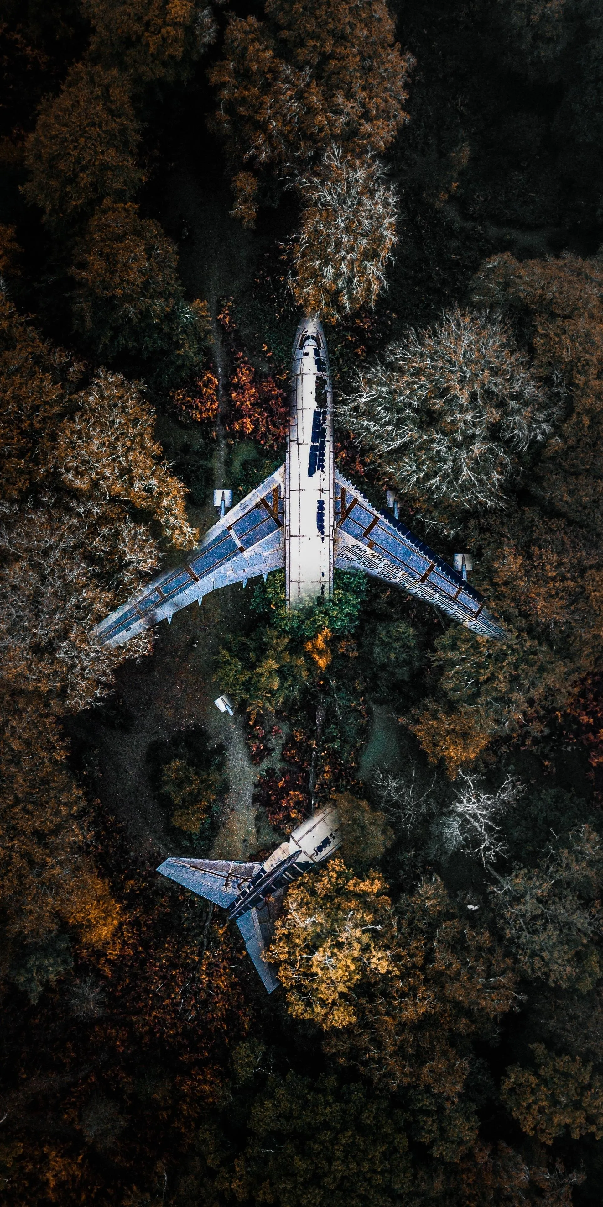 Aerial View of Plane Flying Over Dense Forest Landscape
