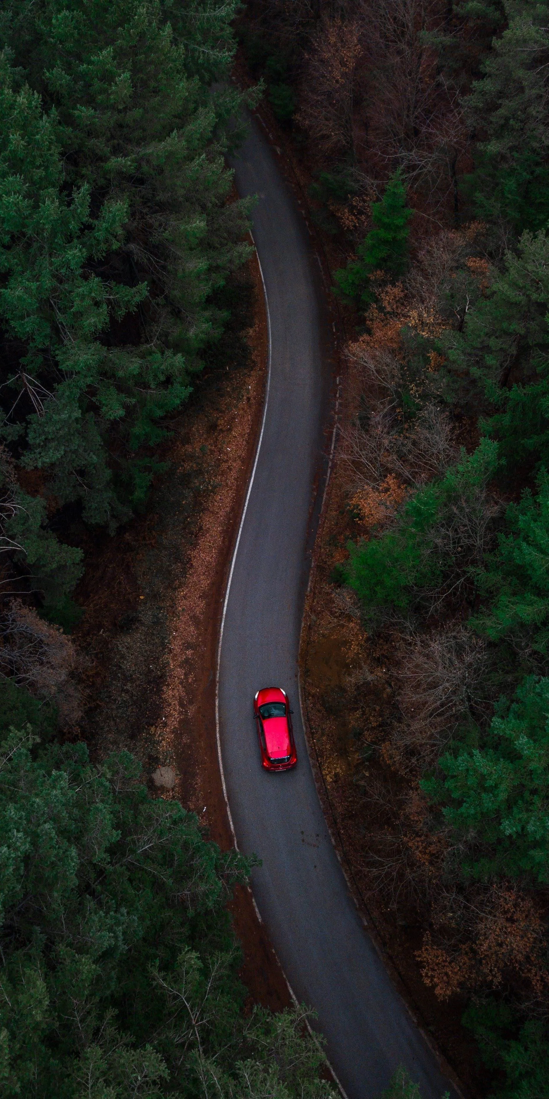Aerial View of Red Car on a Curved Forest Road Image