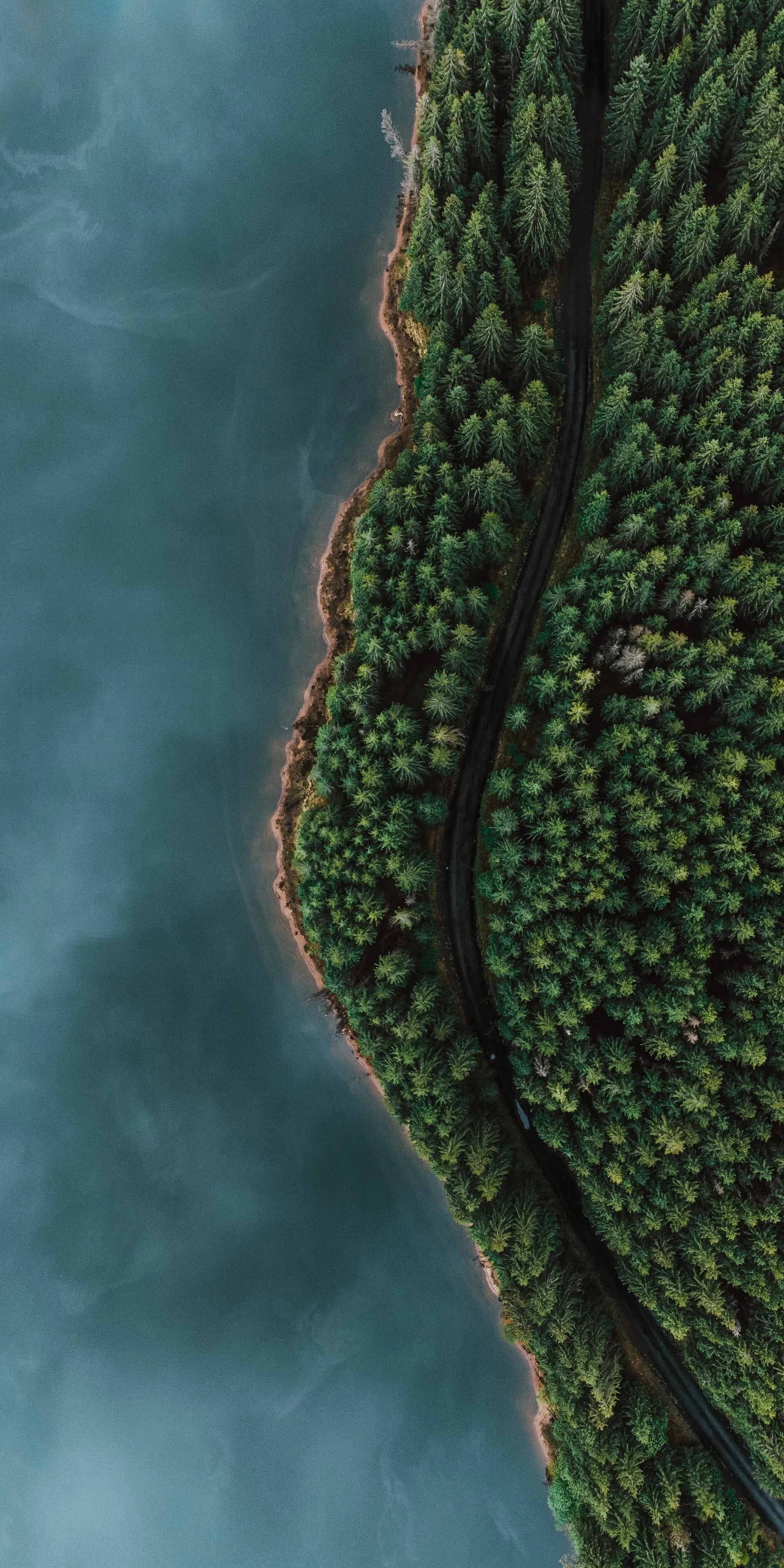 Aerial View of River Bending Through Green Forest Wallpaper