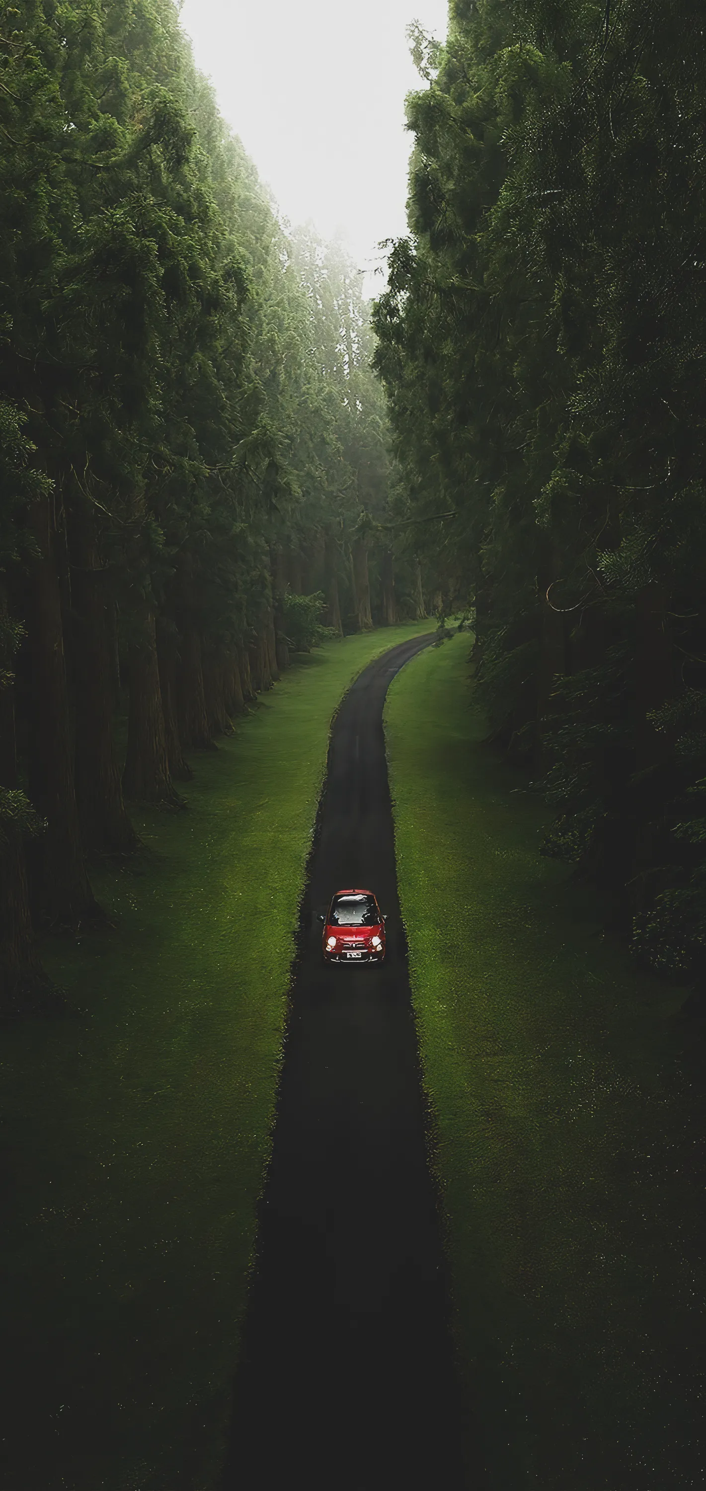 Aerial View of Road Cutting Through Dense Forest with Car