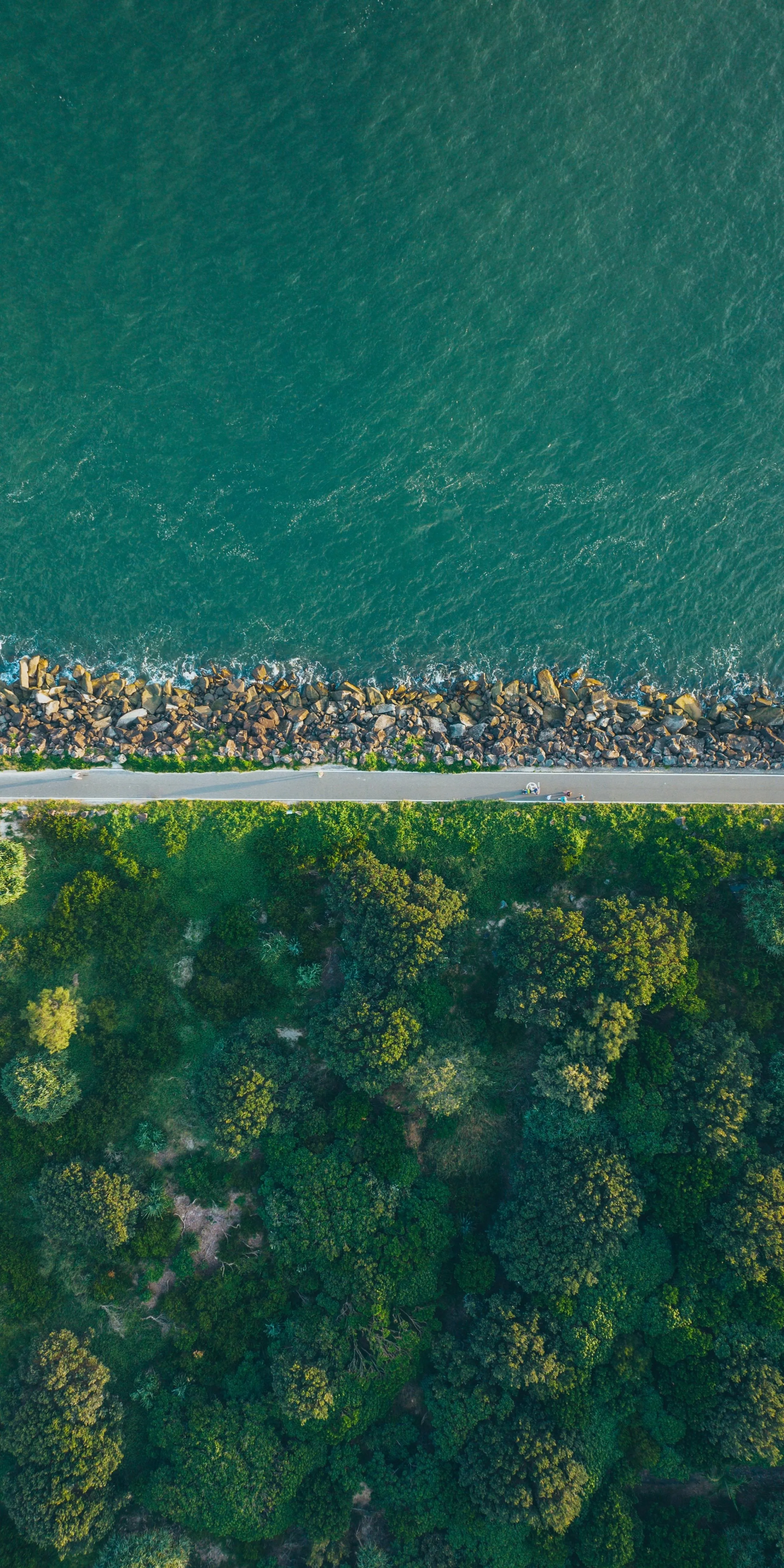 Aerial View of Road Near Ocean for Coastal Travel Wallpaper