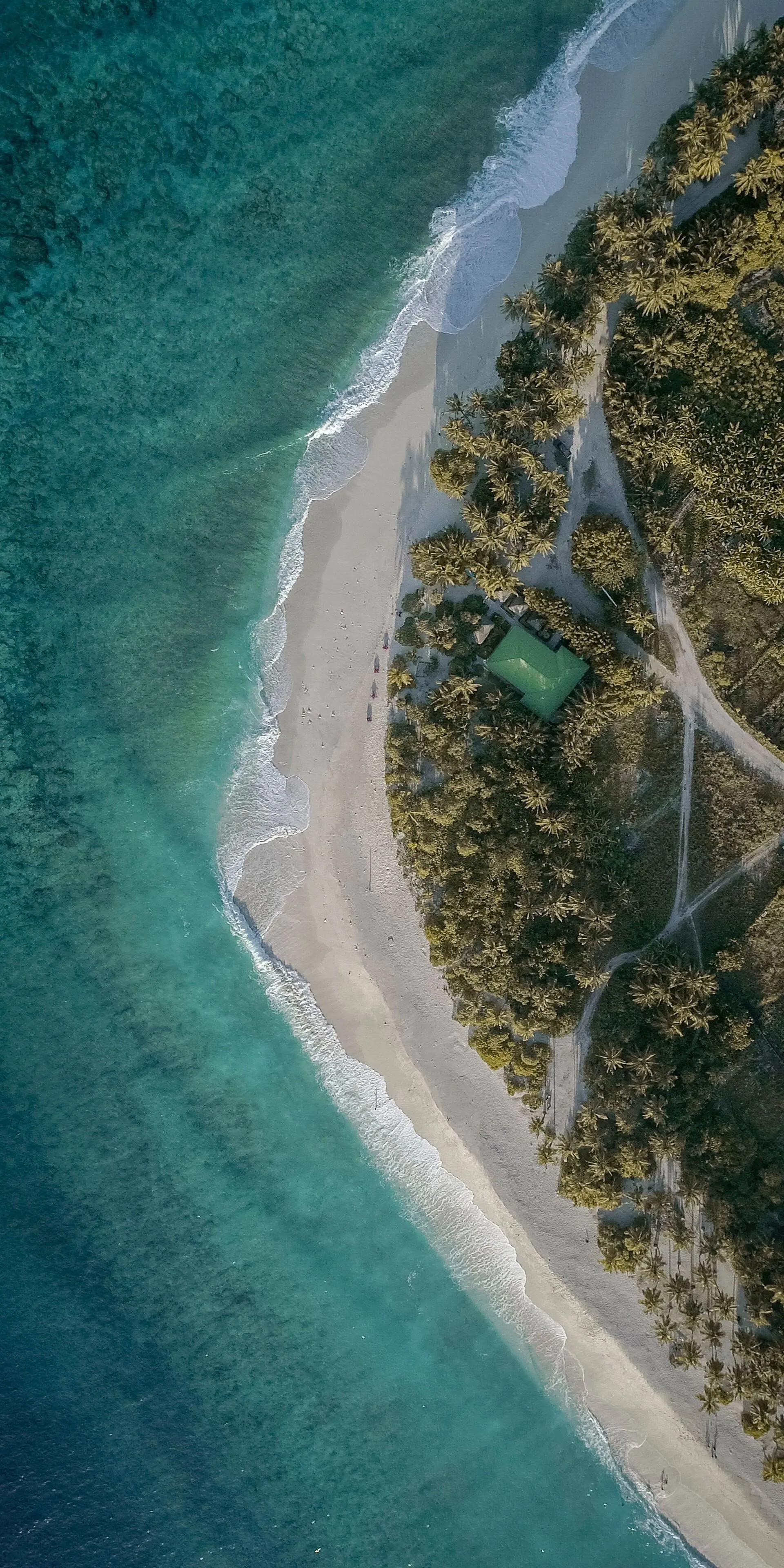 Aerial View of Tropical Beach and Blue Ocean Wallpaper