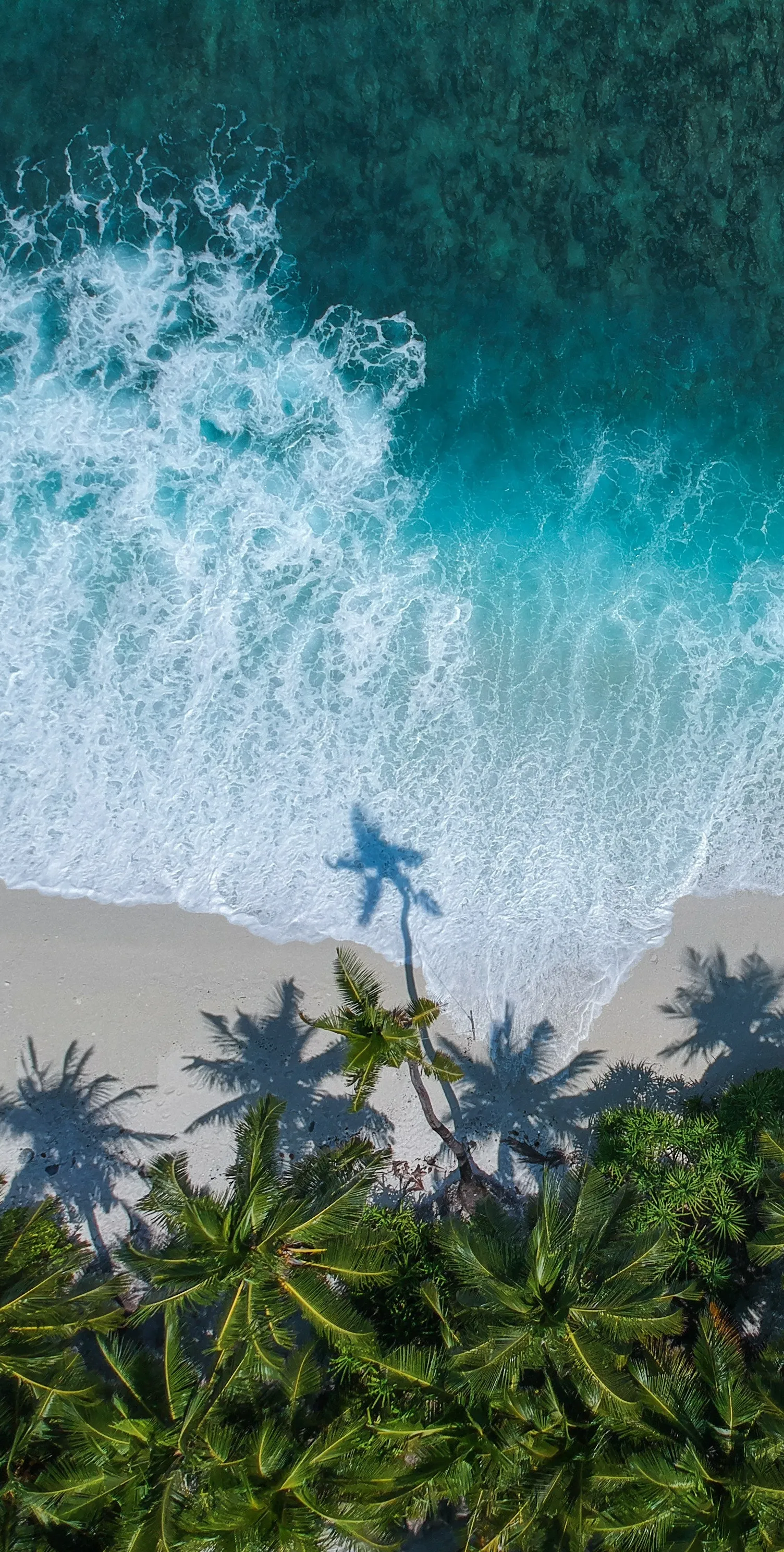 Aerial View of Waves Crashing on Palm Fringed Beach Image