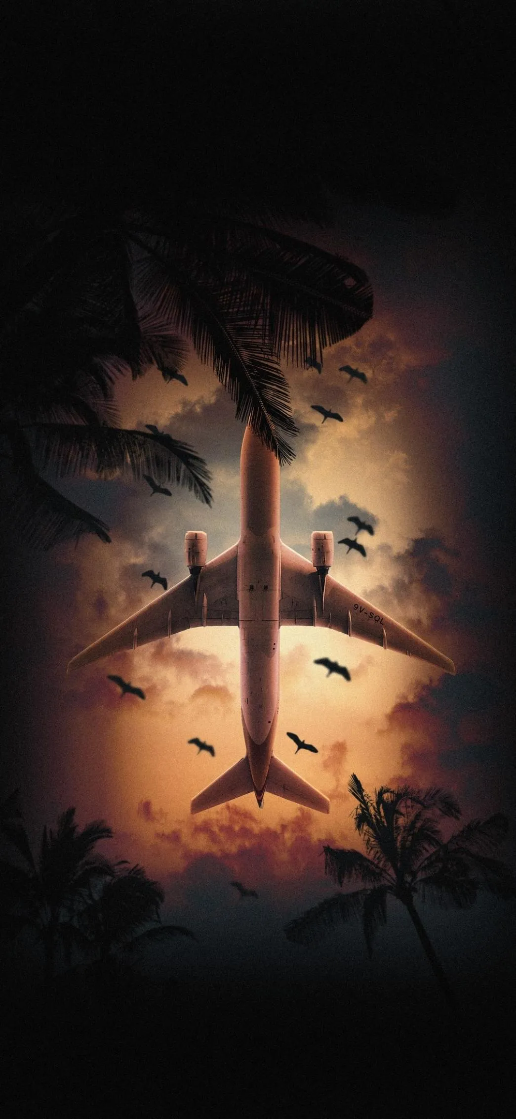 Airplane Flies Over Sunset with Palm Trees and Birds