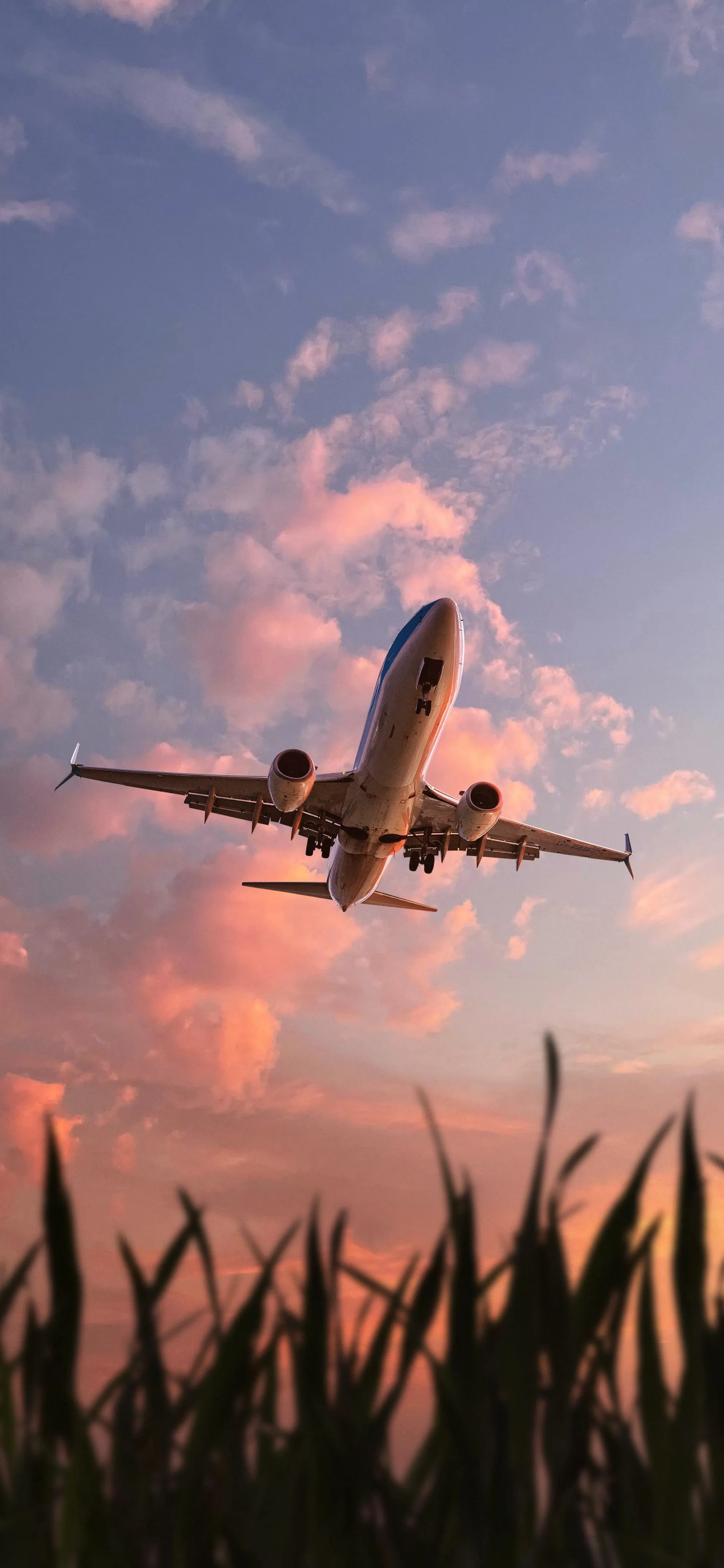 Airplane Flying Above Green Fields During Sunset Wallpaper