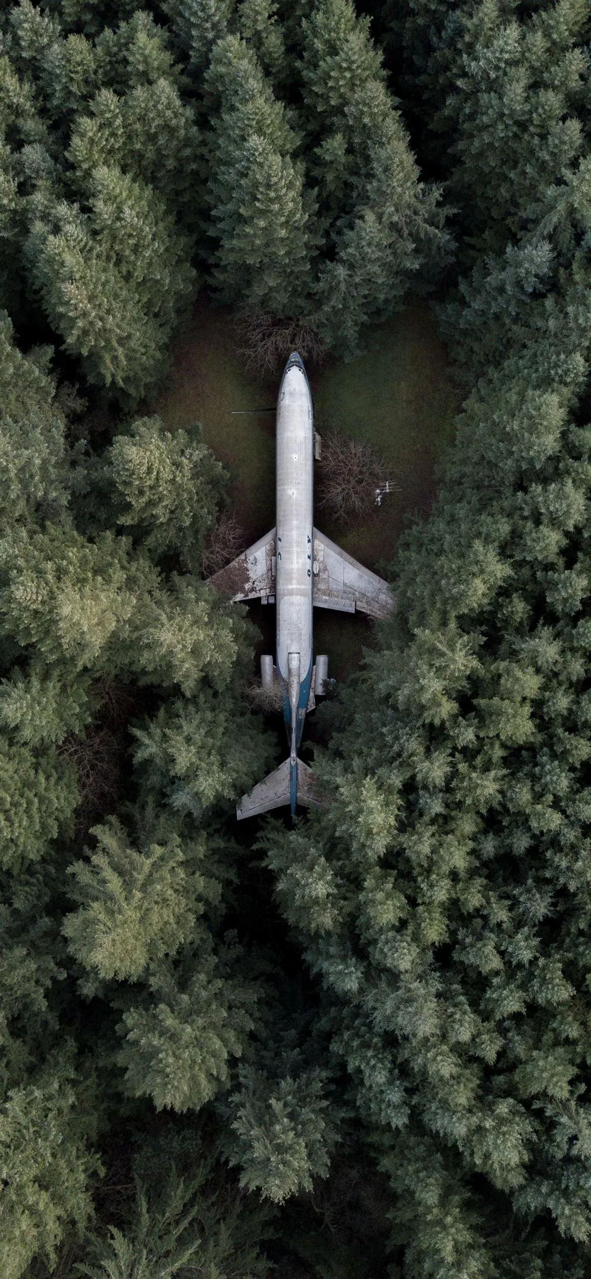Airplane Flying Over Dense Forest Captured from Above