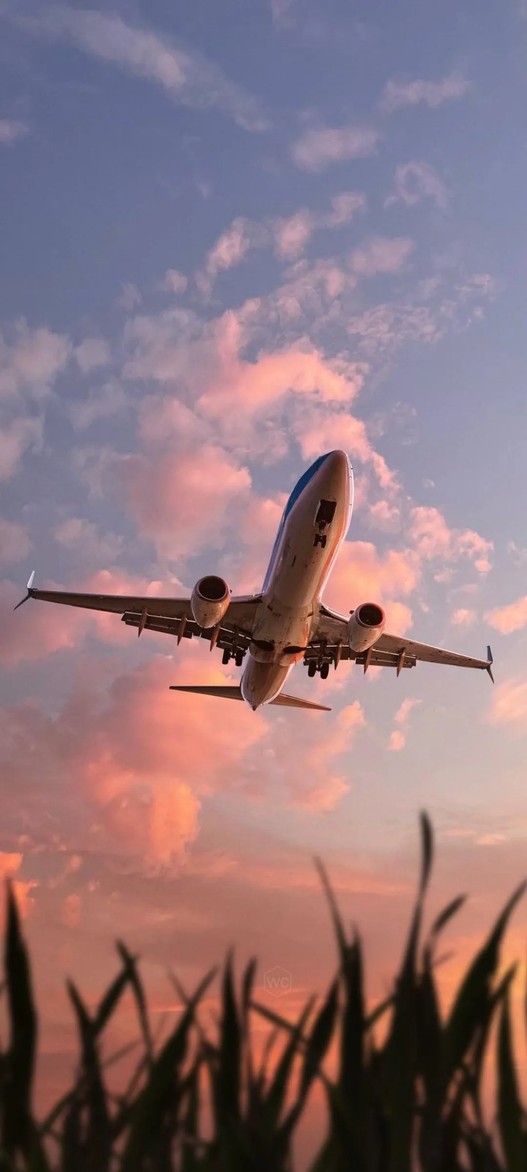 Airplane Flying Sunset Sky Mobile Background Wallpaper