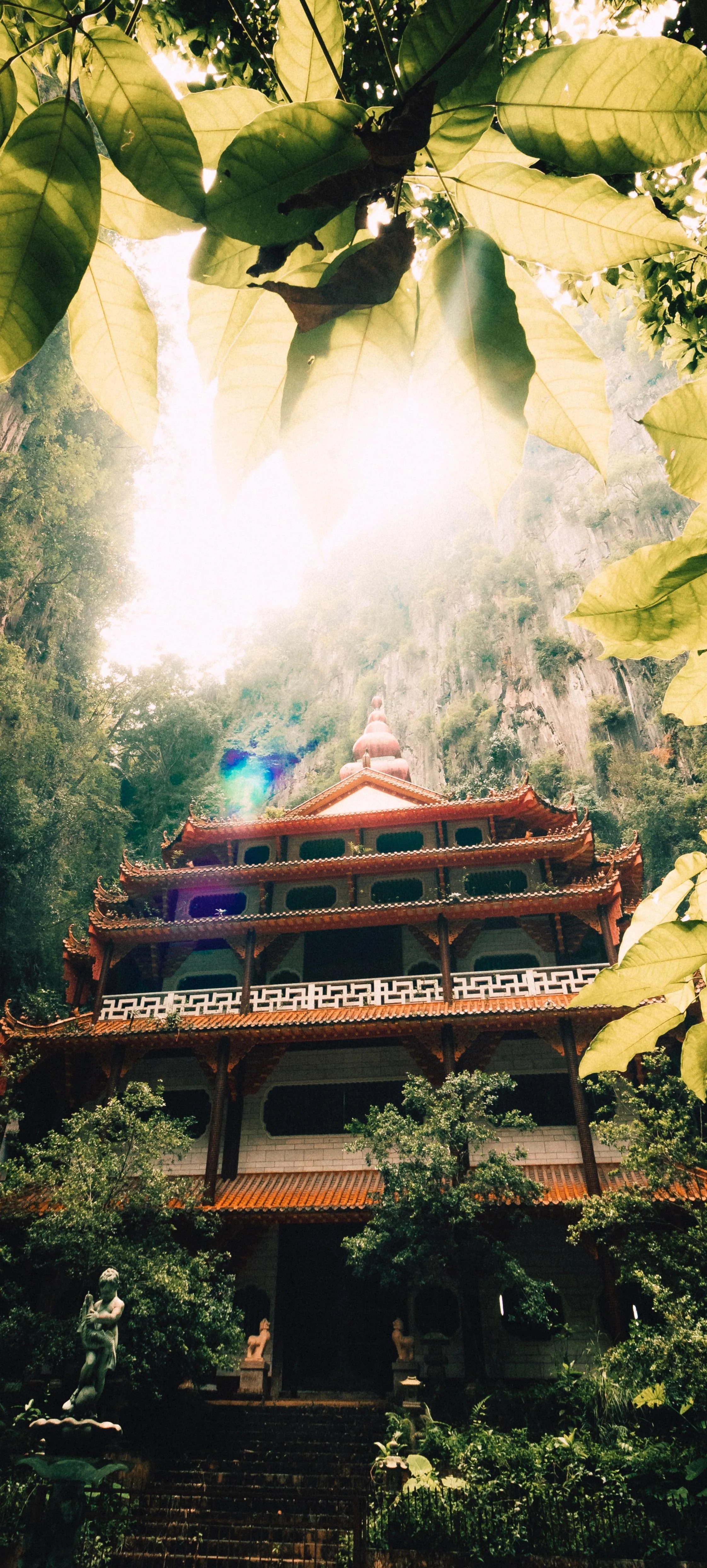 Ancient Temple Hidden in Lush Green Jungle with Sunlight