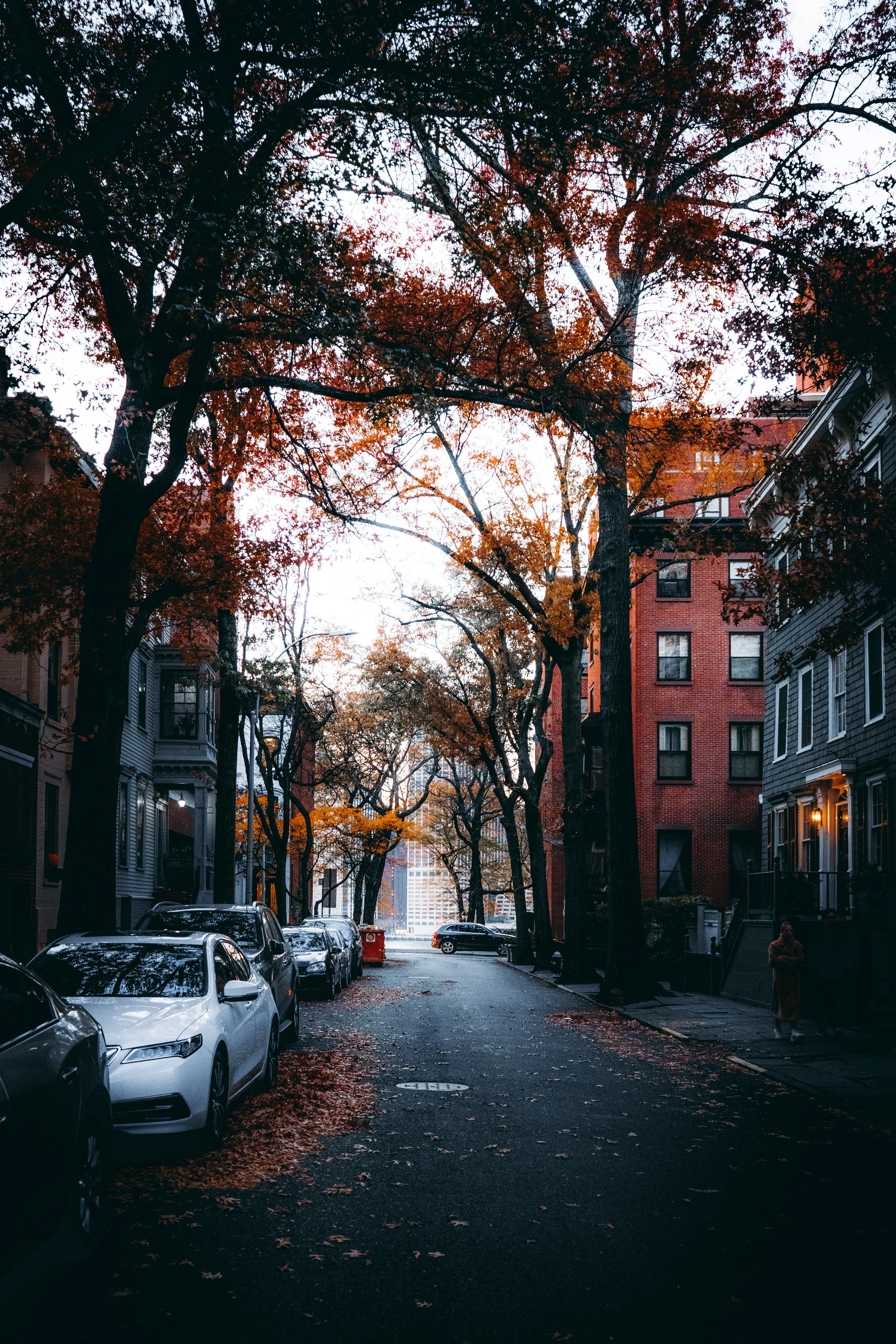 Autumn City Street View with Orange Colored Trees Wallpaper