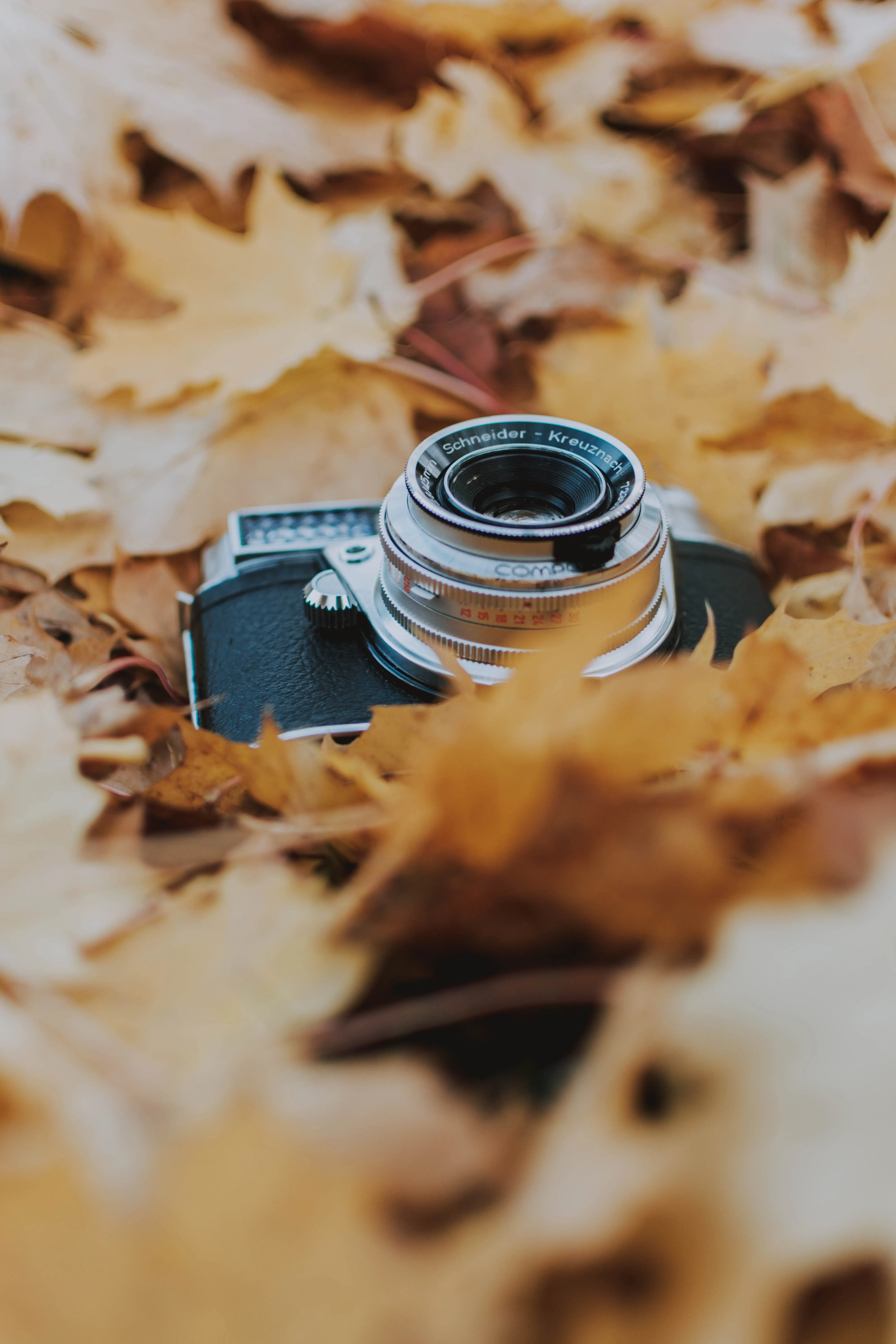 Autumn Leaves with Vintage Camera Close Up Scene Wallpaper