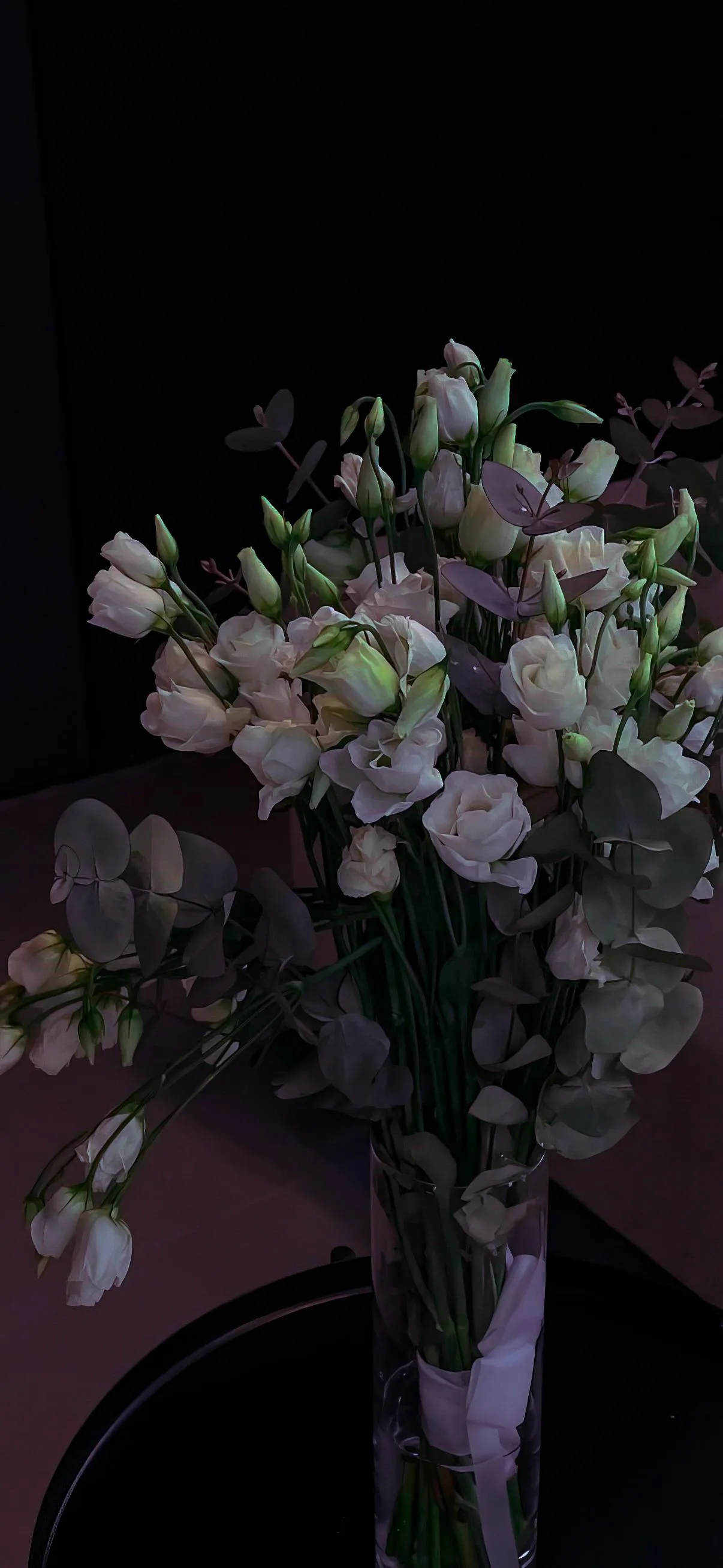 Beautiful Blooming Flowers Night Style Wallpaper Background