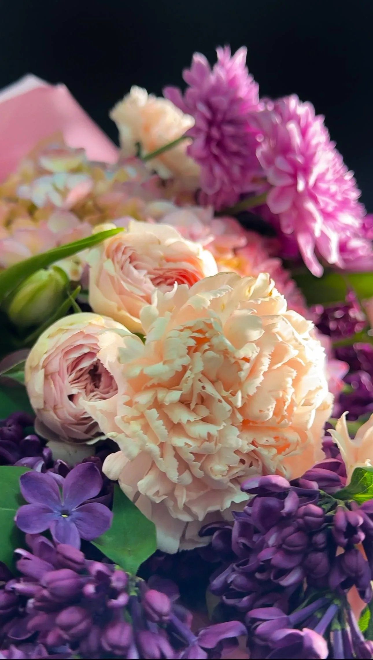 Beautiful Flowers in Full Bloom with Rich Vibrant Colors