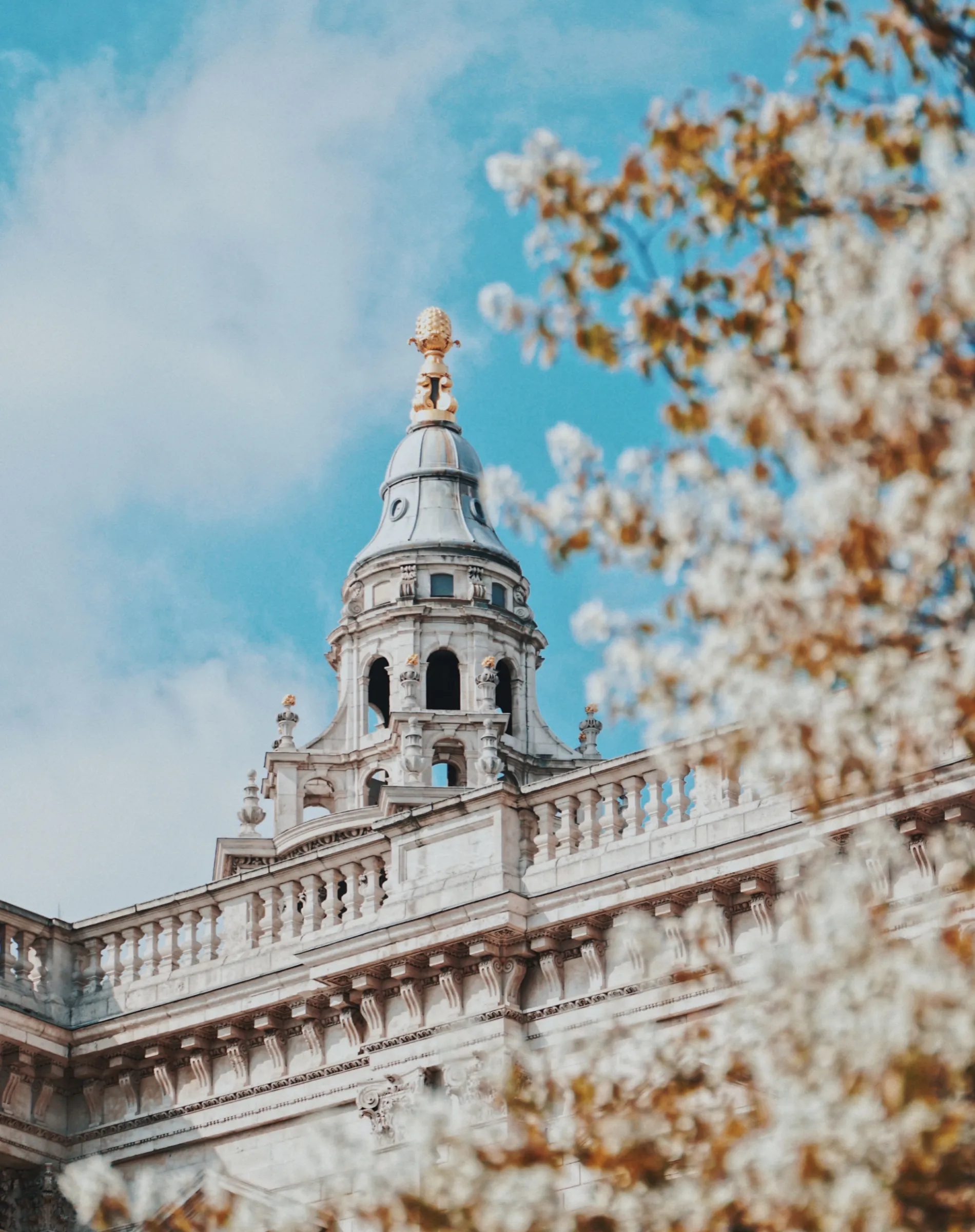 Beautiful Historic Building with Blossoming Tree Wallpaper