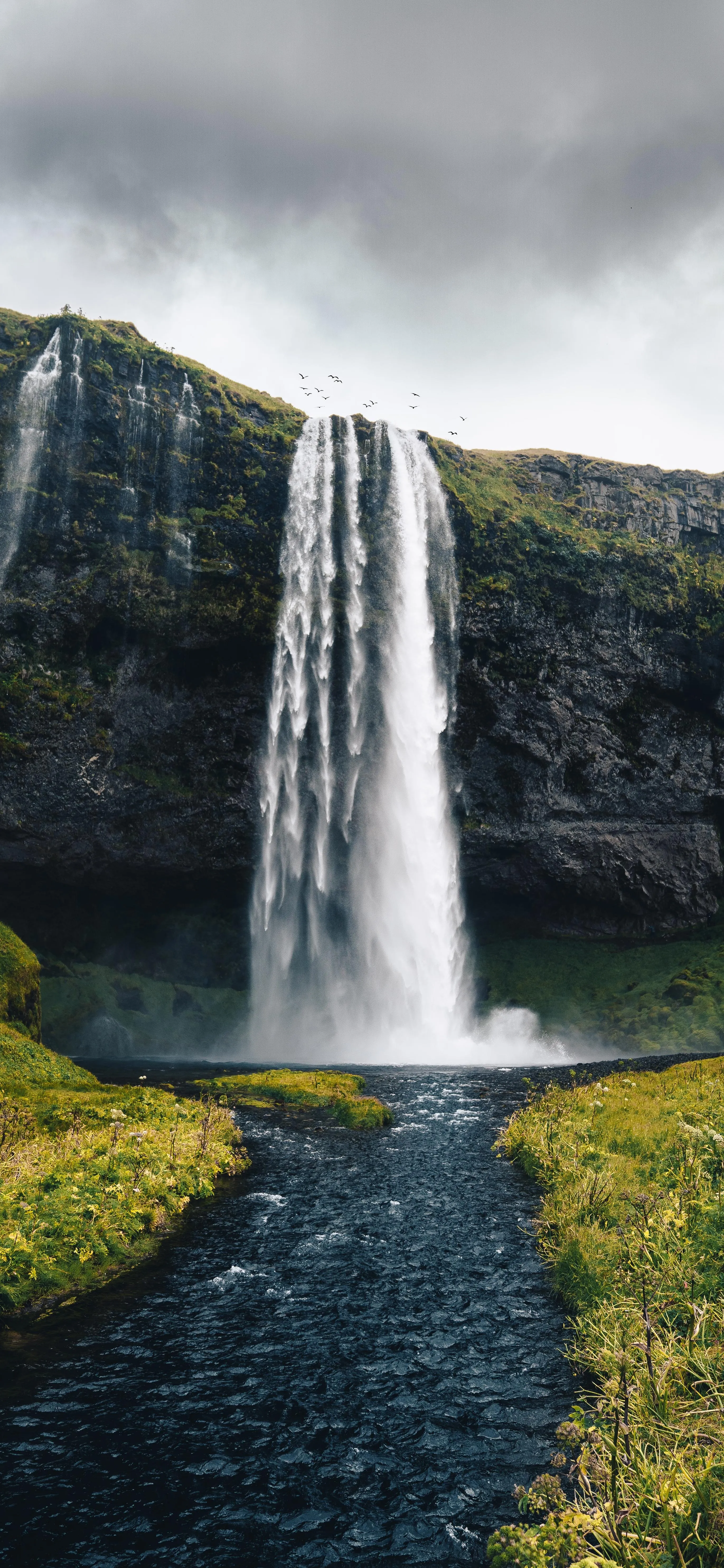 Beautiful Waterfall Surrounded by Green Nature Landscape
