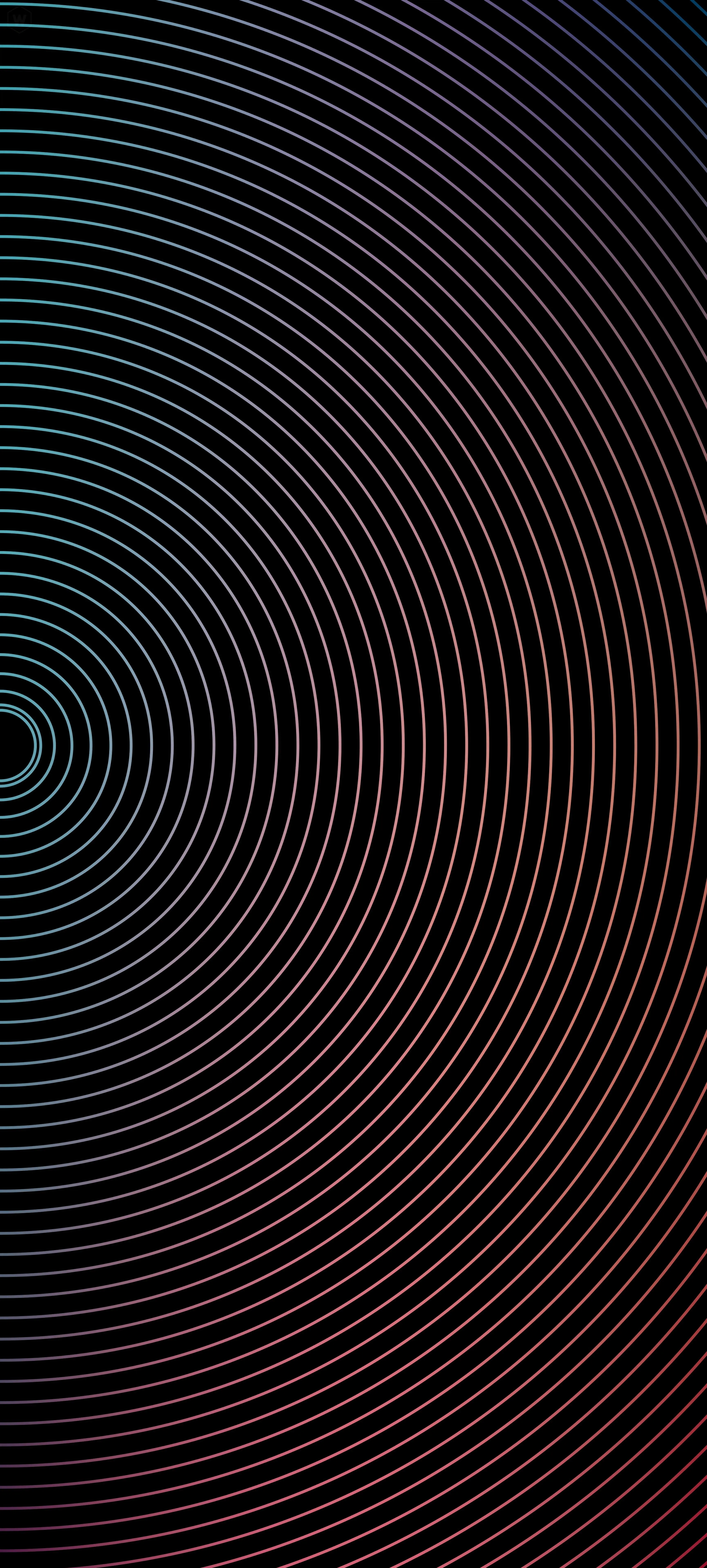 Black Abstract Pattern with Circular Wave Lines Image