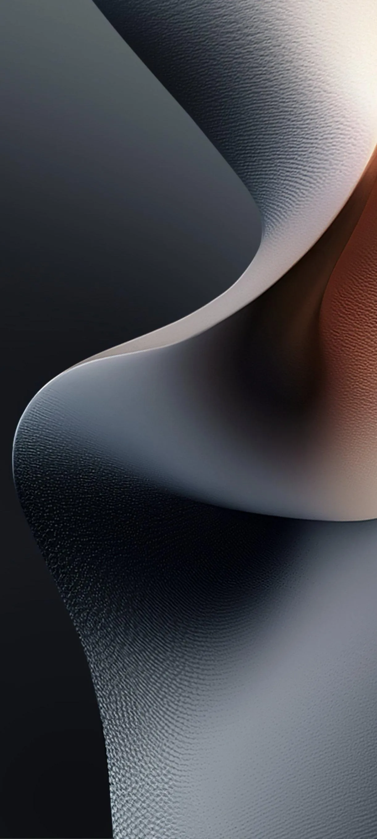 Black and White Abstract Curved Shapes in Minimalist