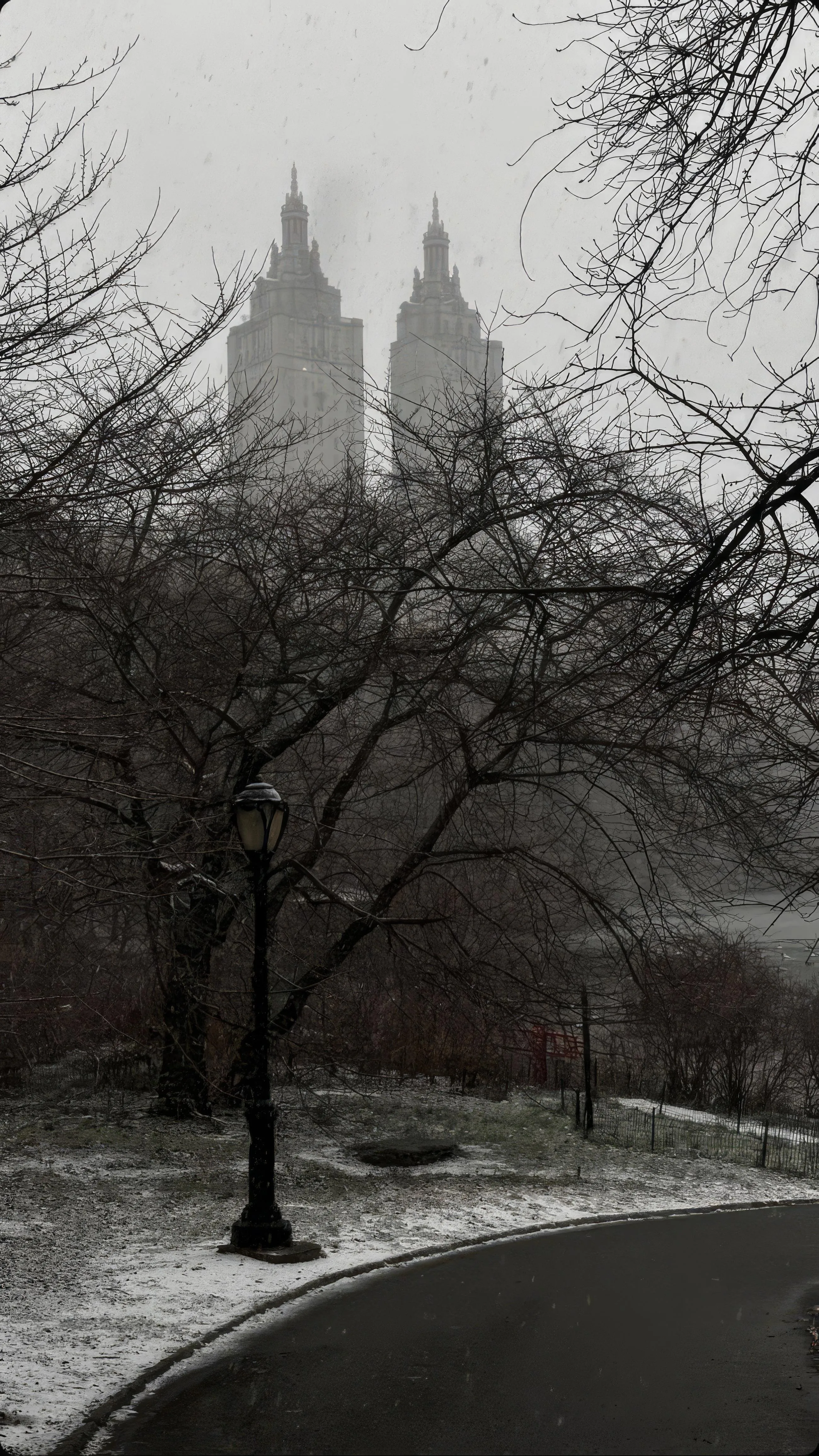 Black and White Winter Park Scene with Trees and Snow