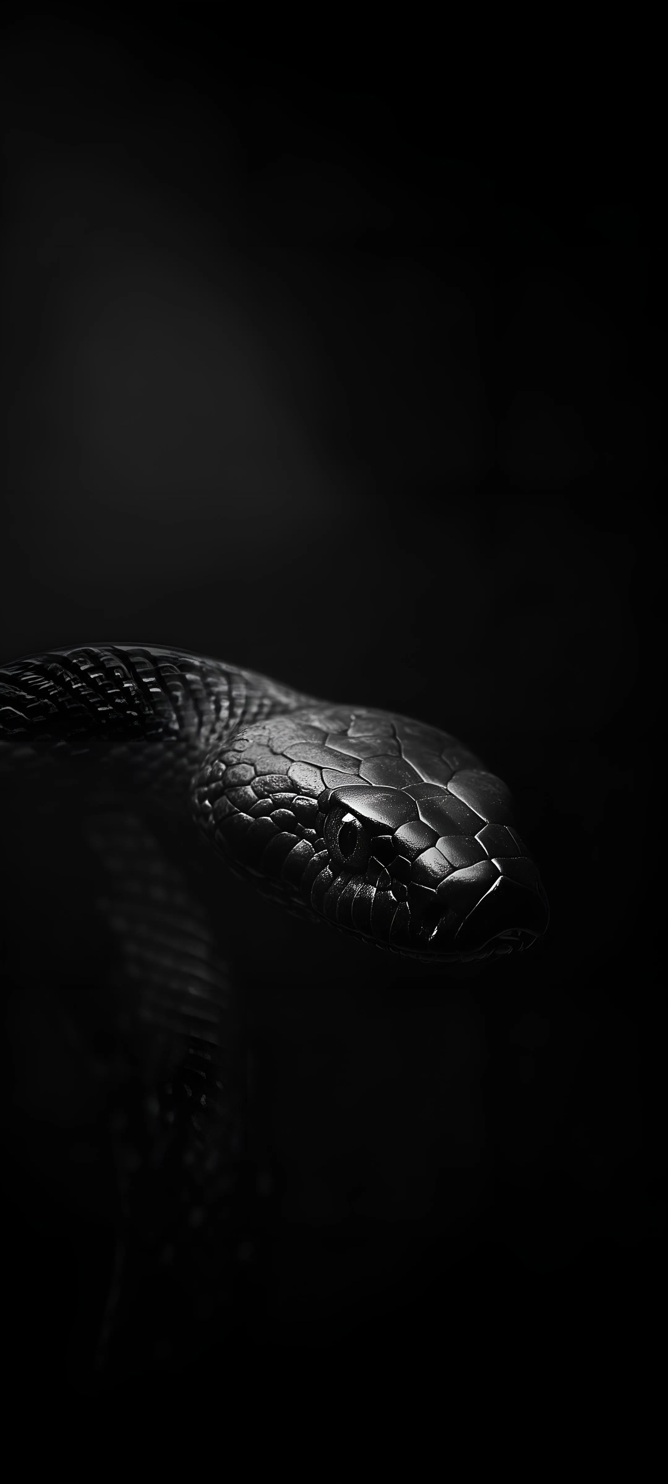 Black Background with Reptile or Dinosaur Head Texture Art