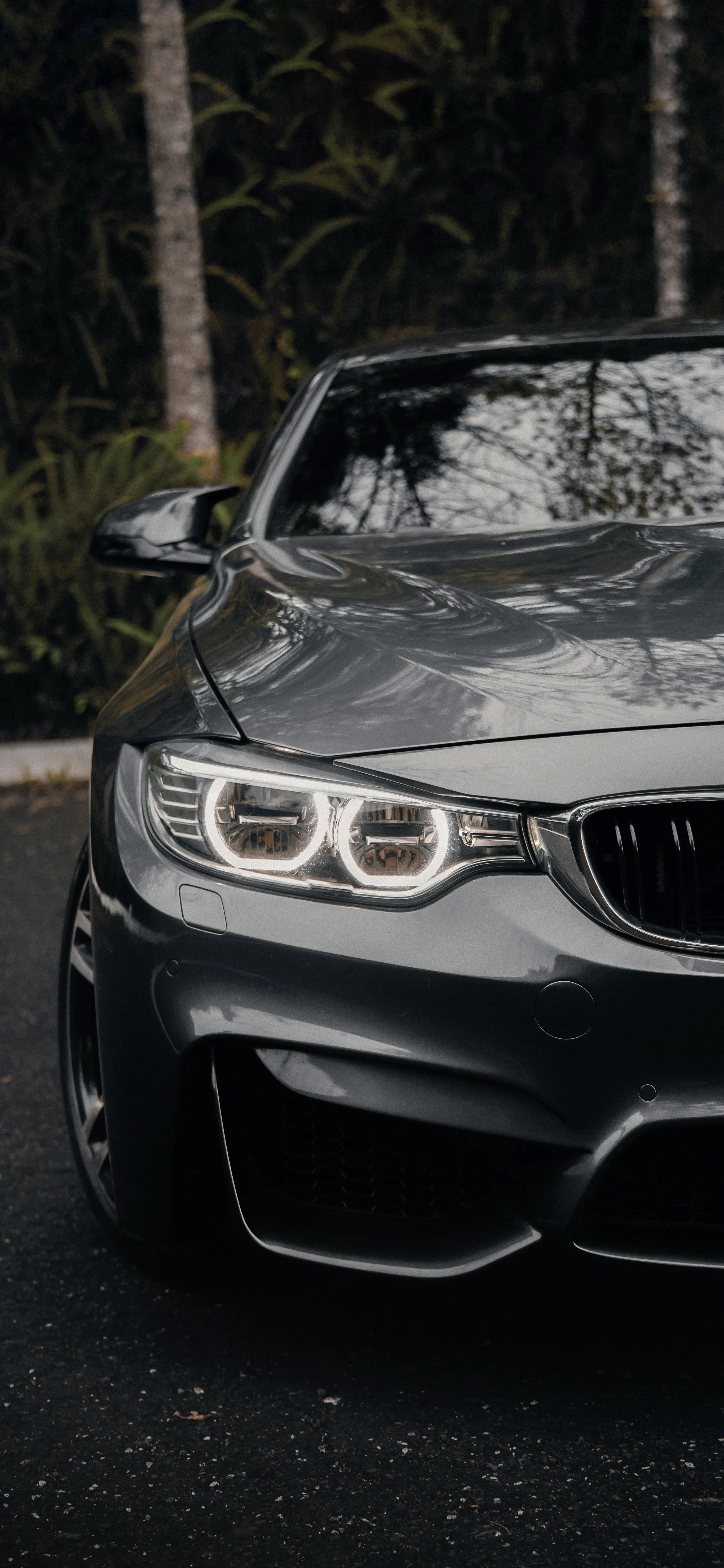 Black Bmw Car Front View in Shaded Forest Area Image