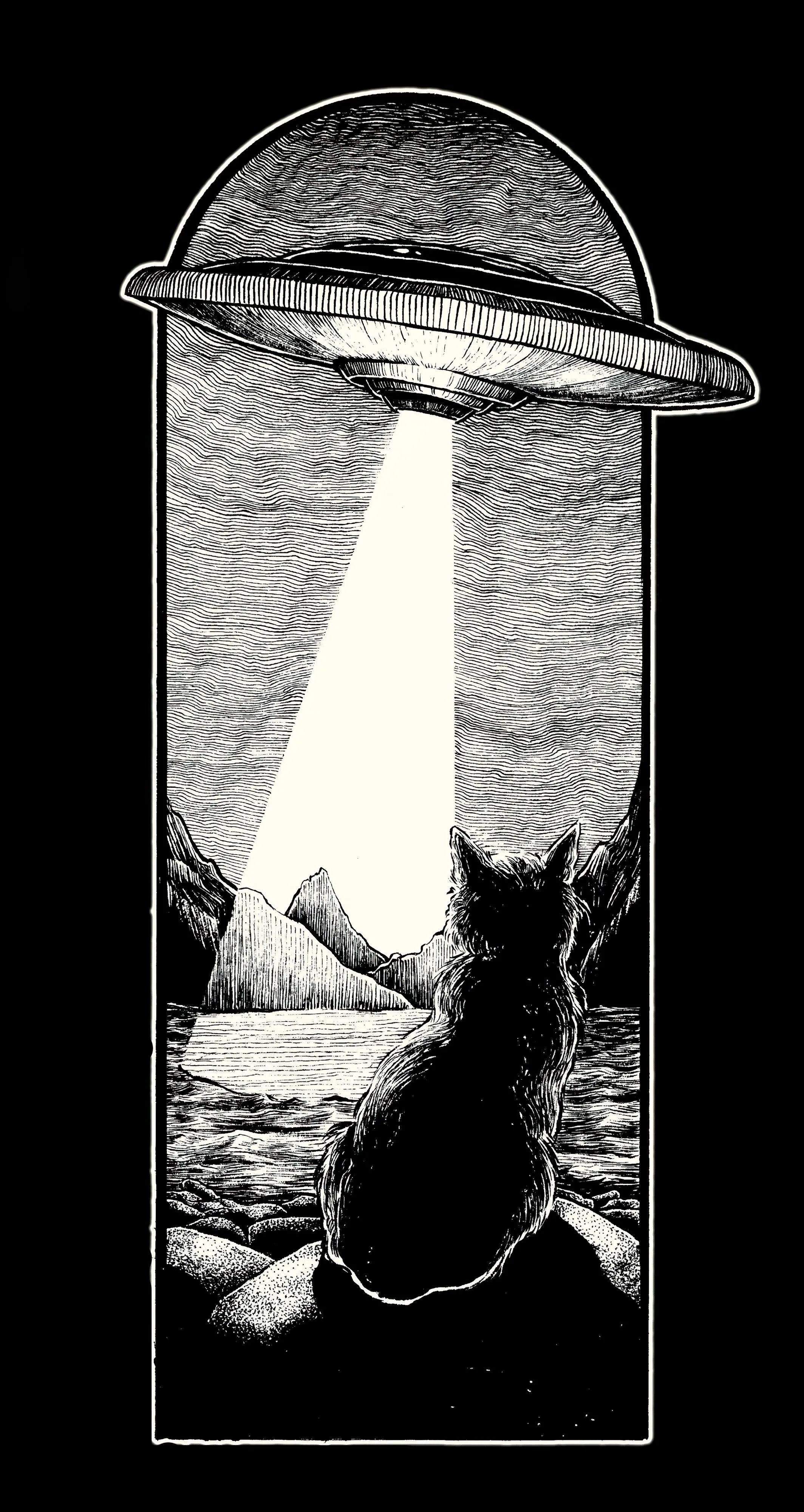 Black Cat Watching Ufo Beam in Black and White Illustration