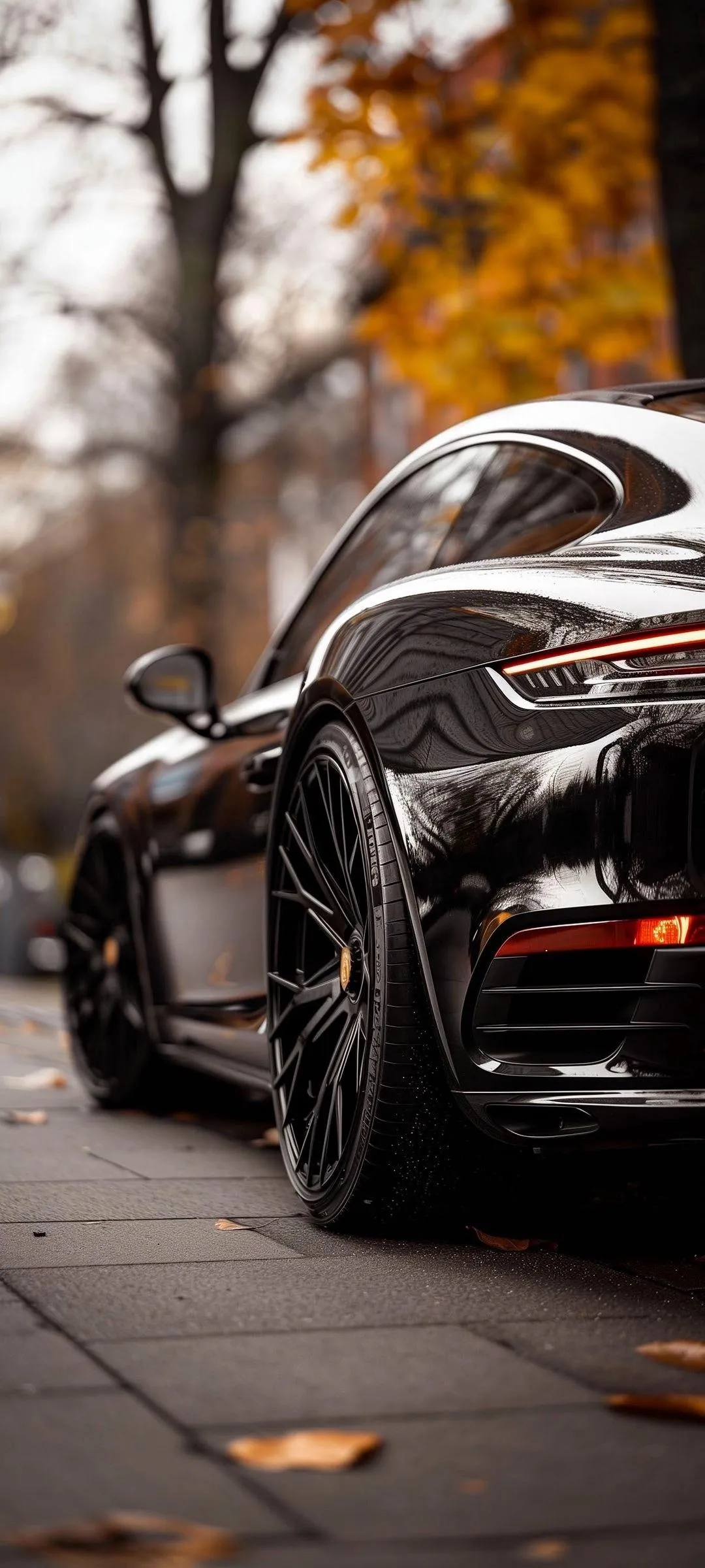 Black Luxury Car Parked Near Autumn Trees at Roadside