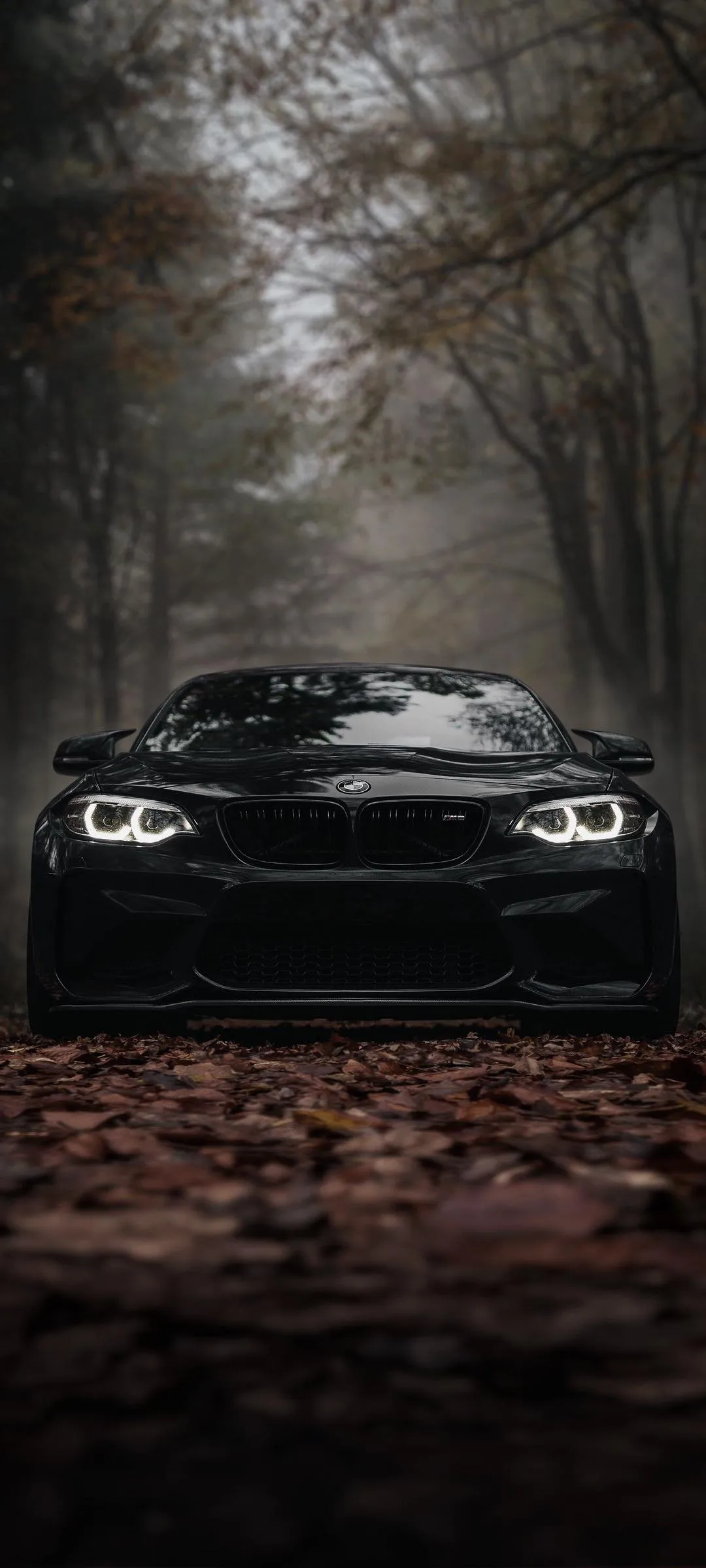 Black Sports Car Parked in Dark Forest Road Wallpaper