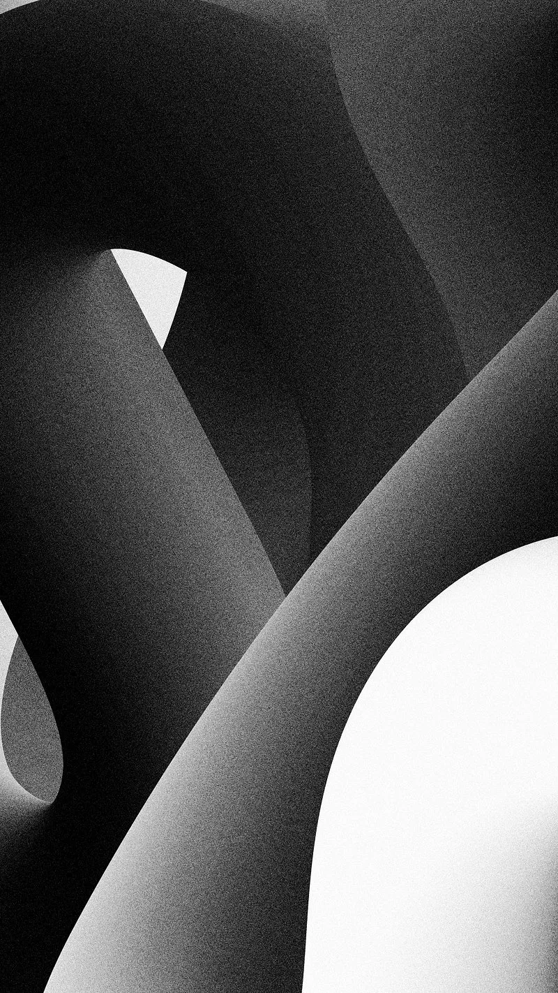 Black White Abstract Curves Design for Google Pixel Fold
