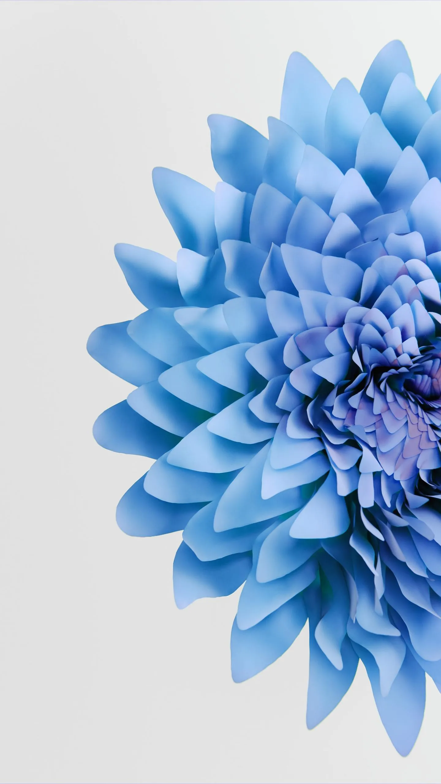 Blue Flower Macro Art Minimal Elegant Mobile Wallpaper