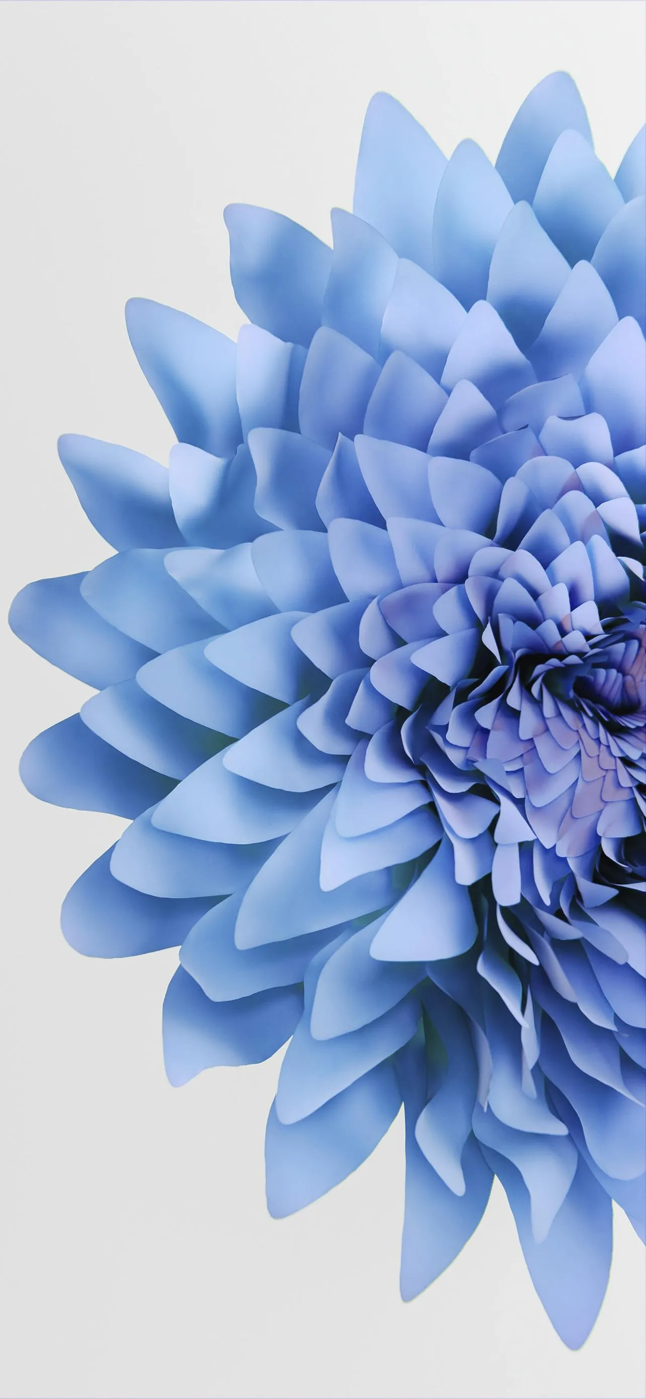 Blue Flower Petals Macro Photography Artwork Wallpaper