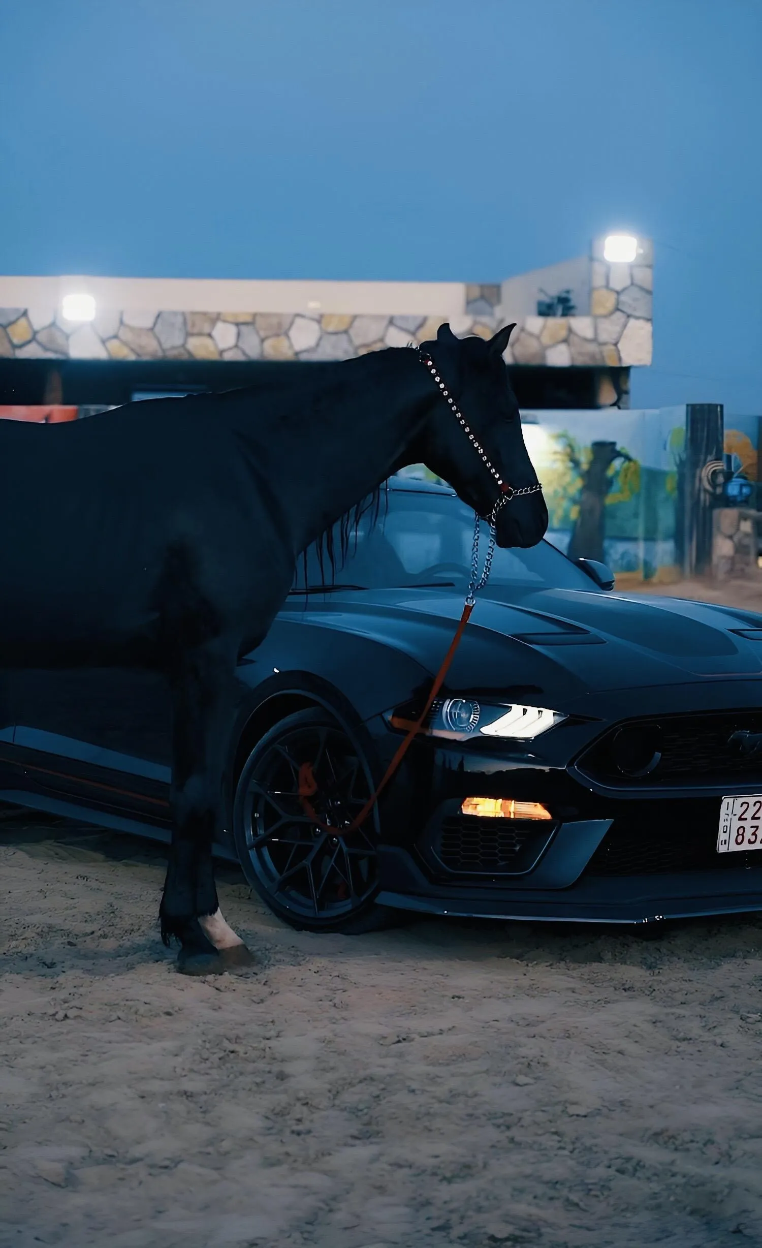 Blue Mustang Car Parked Outdoors at Dusk Wallpaper