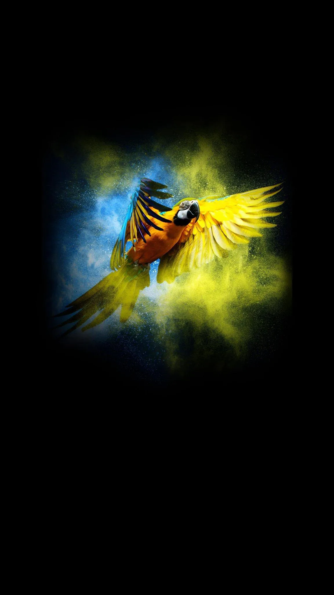 Bright Bird in Flight with Glowing Yellow Aura Wallpaper