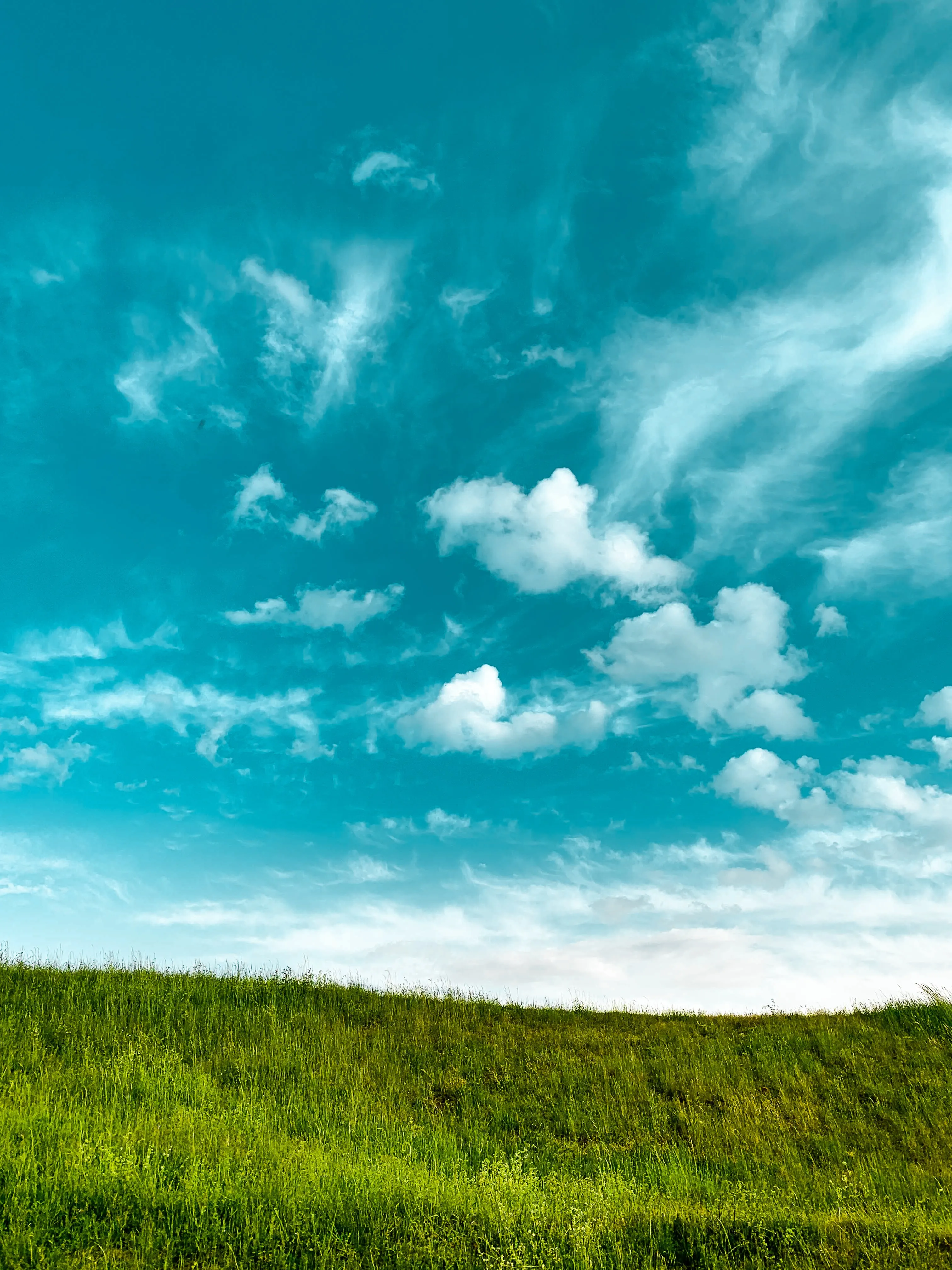 Bright Blue Sky with Green Grass Meadow Horizon Wallpaper