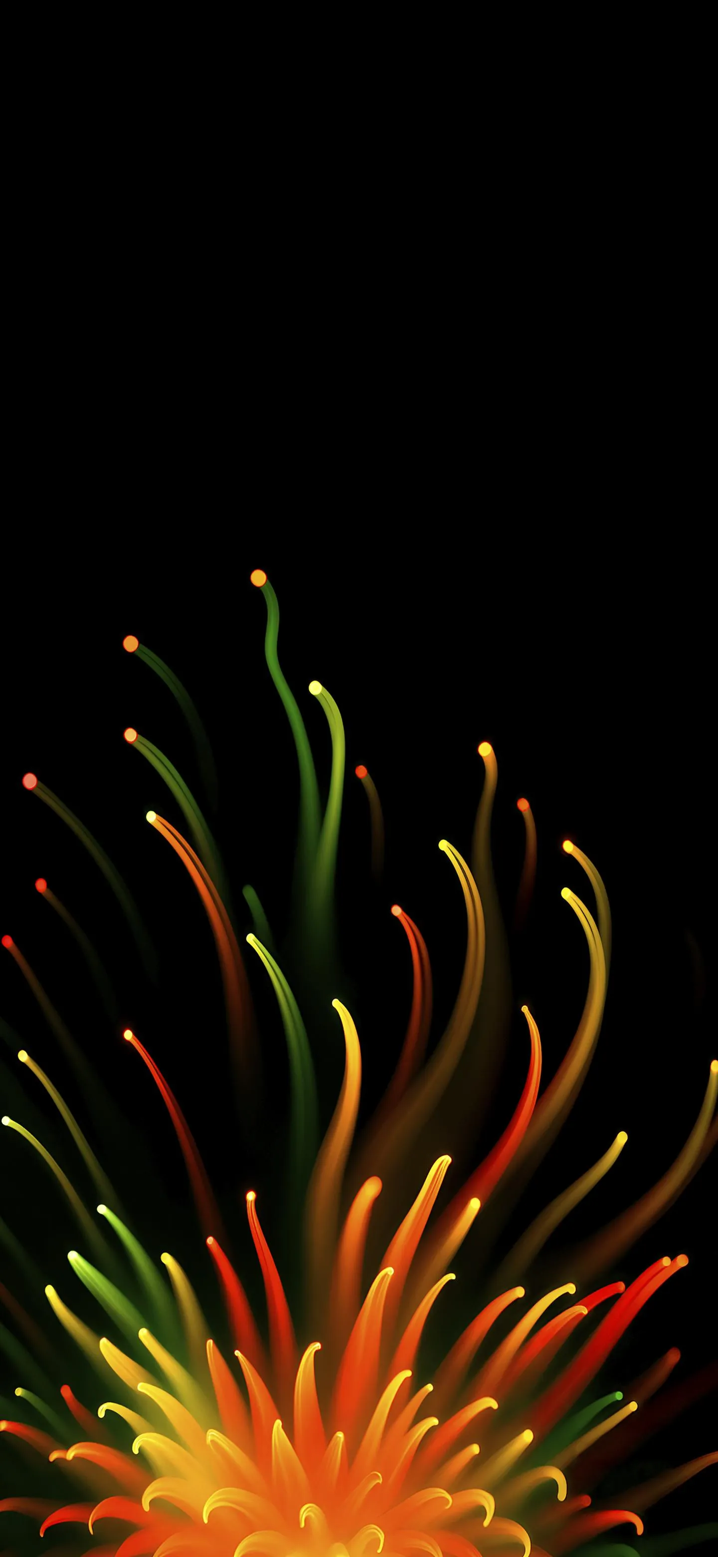 Bright Fireworks Burst on Pitch Black Night Wallpaper HD