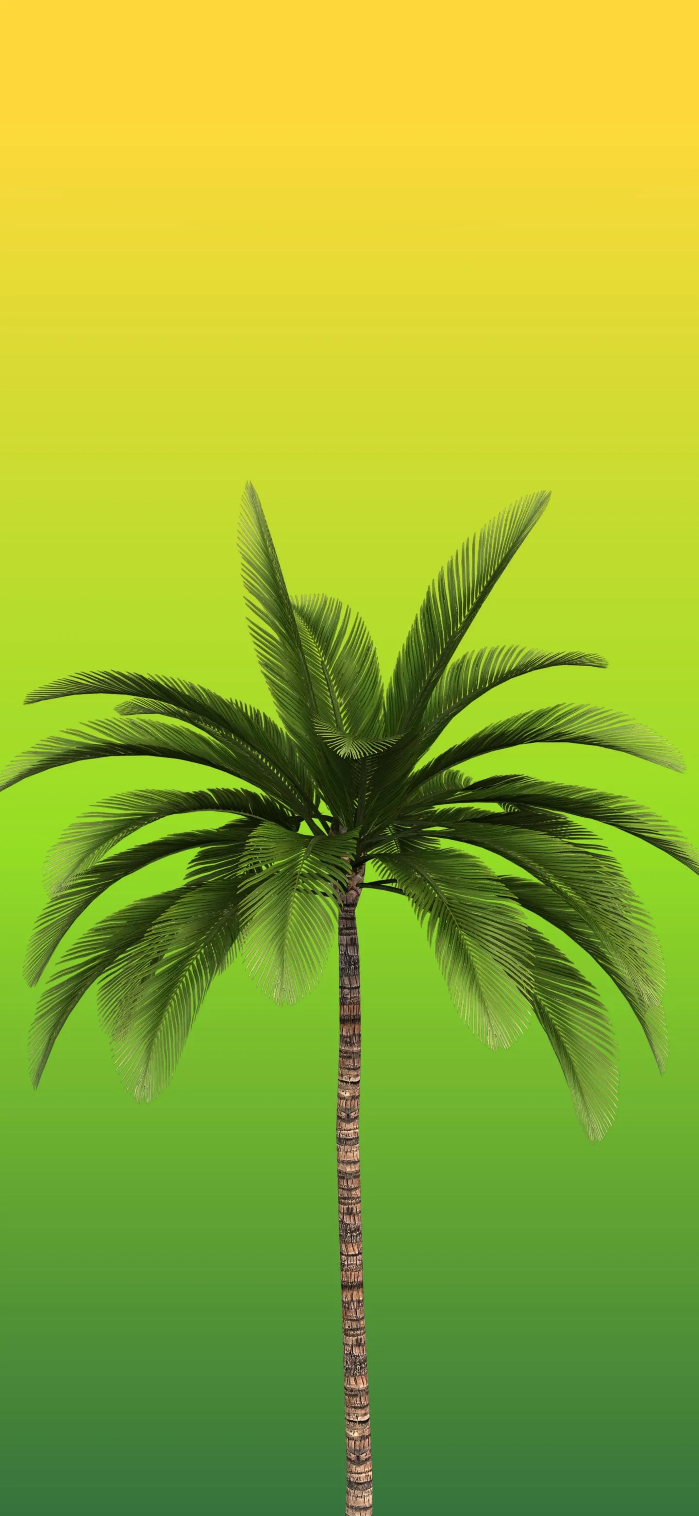 Bright Green Palm Tree on Yellow Gradient Background Art