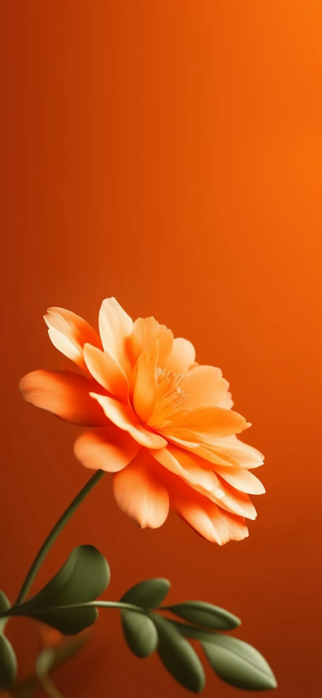 Bright Orange Flower Blooming with Soft Lighting Wallpaper