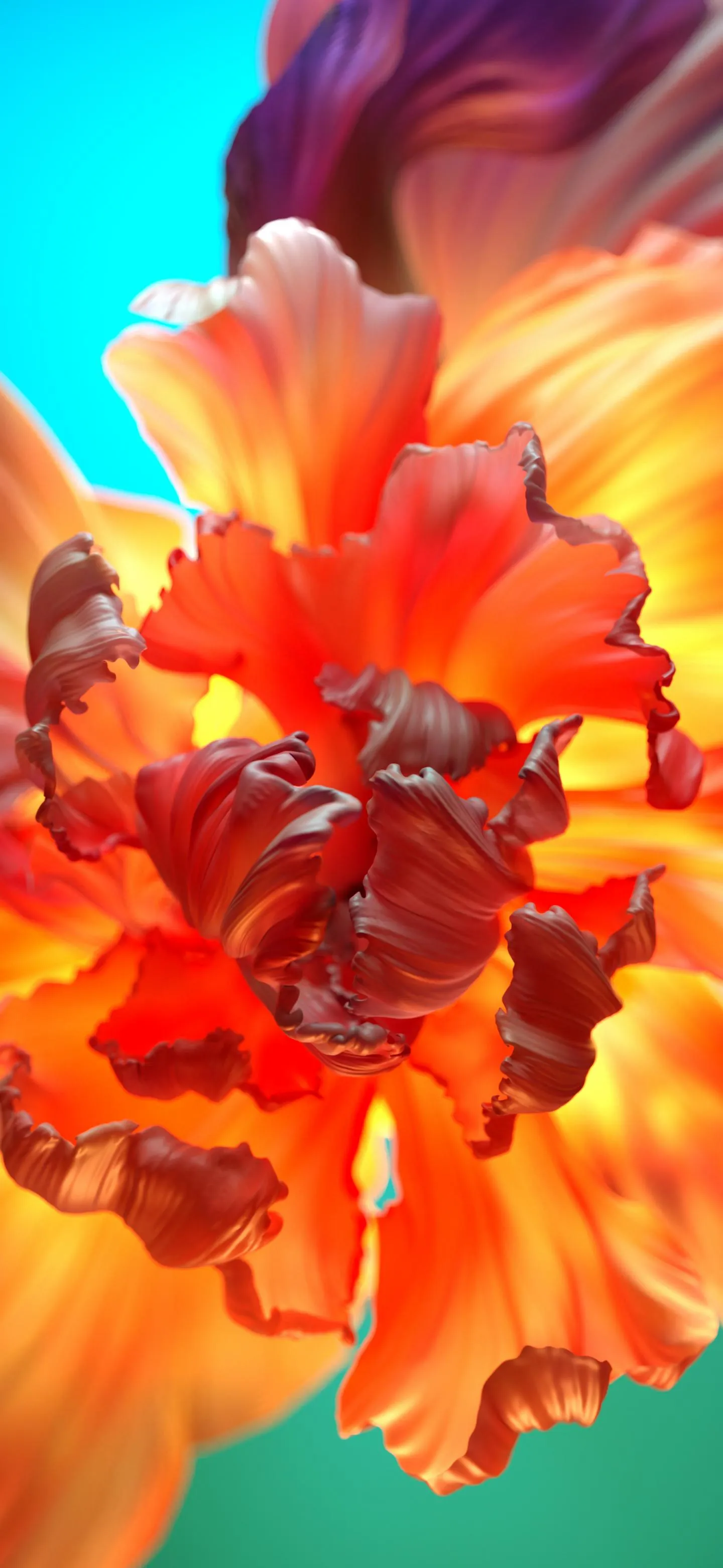 Bright Orange Flower Macro Shot on Blue Background Wallpaper