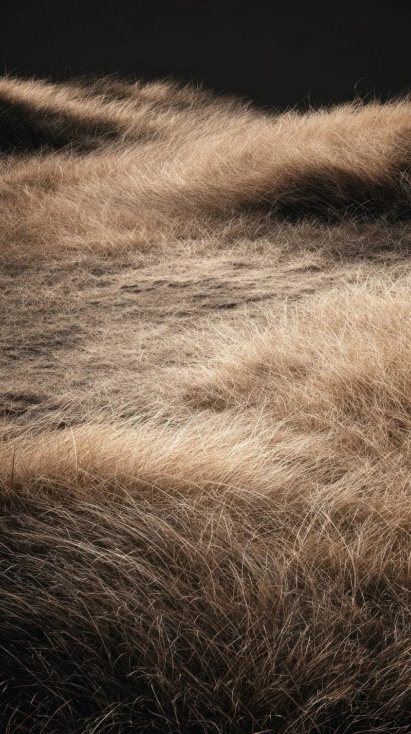 Brown Fur Soft Texture for OnePlus 11 Pro Wallpaper