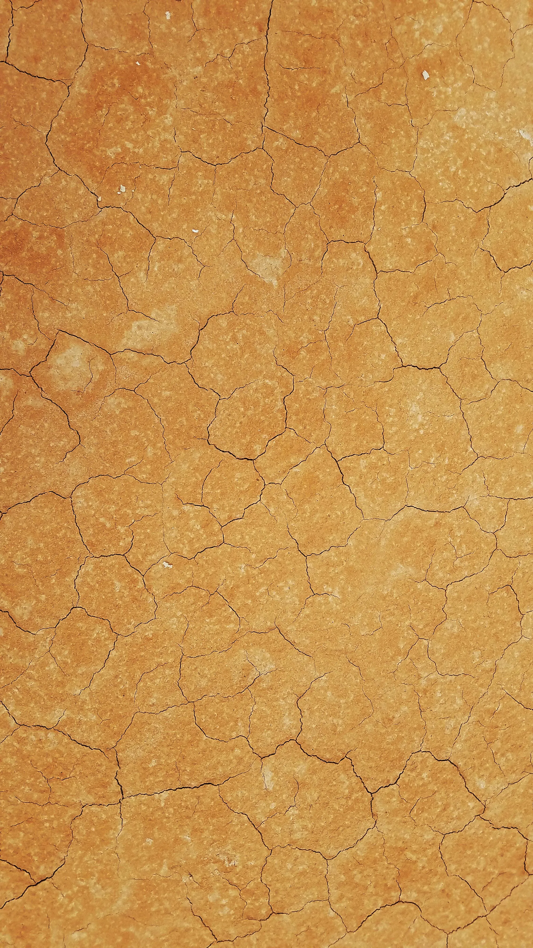 Brown Paper Texture with Natural Rough Look Wallpaper