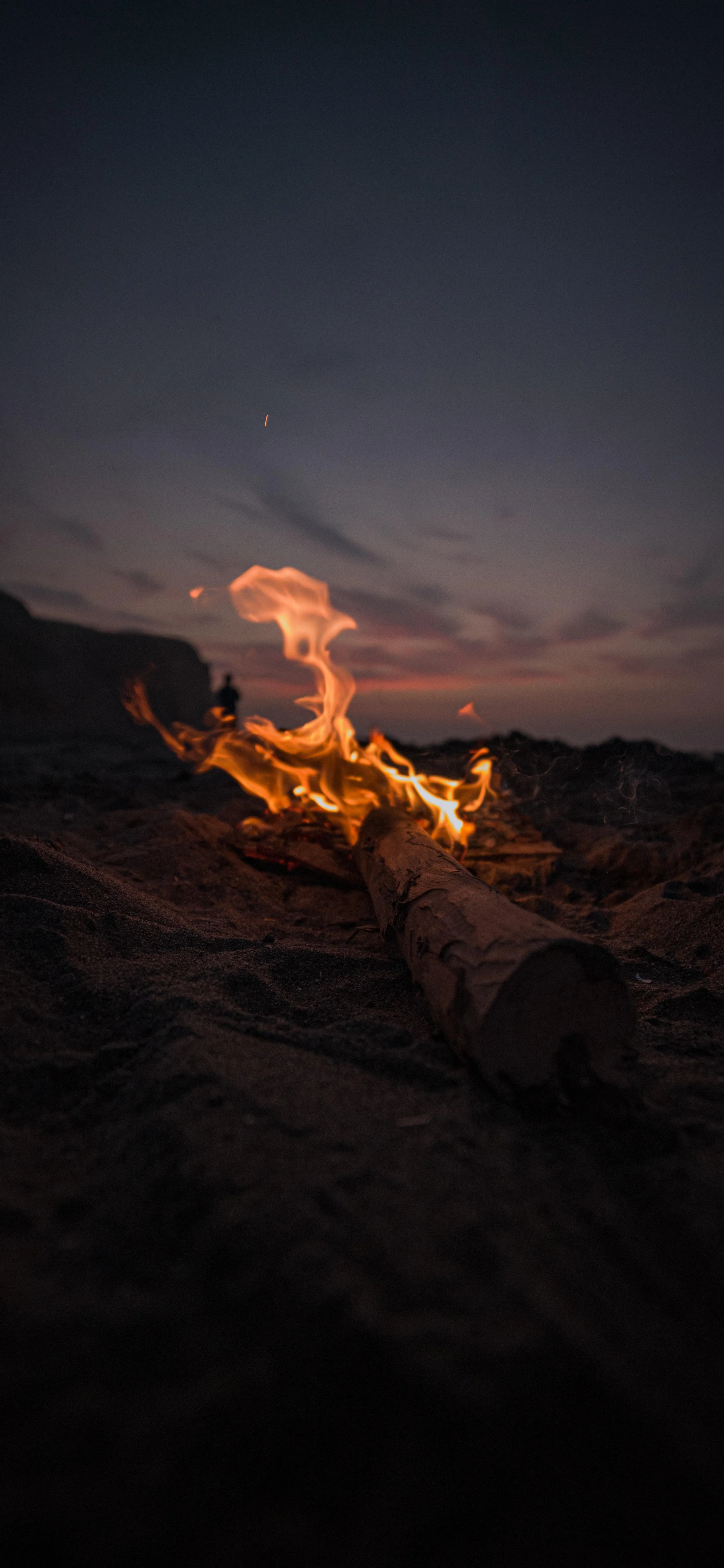 Burning Campfire on The Beach at Dusk Time Free Image