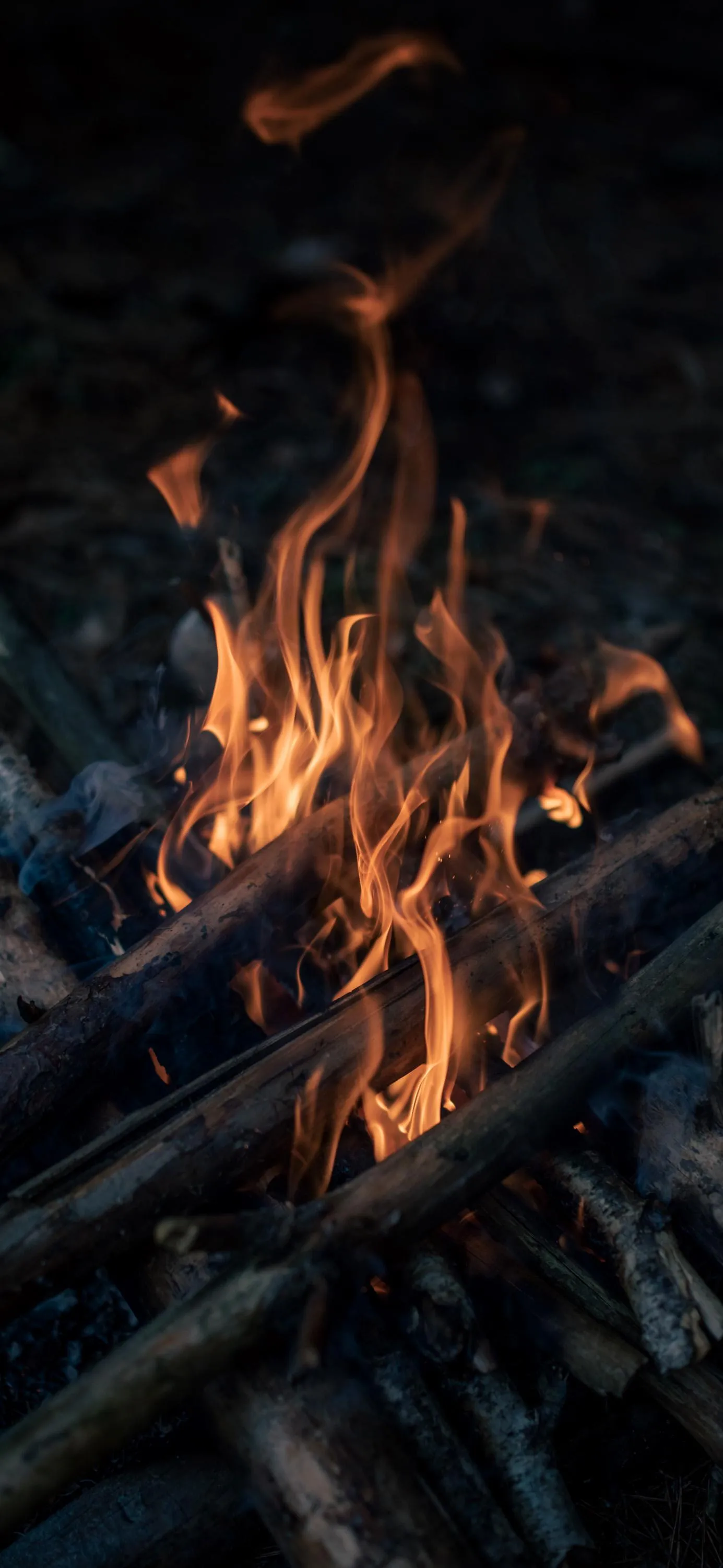 Burning Firewood Flames in Dark Outdoor Setting Wallpaper