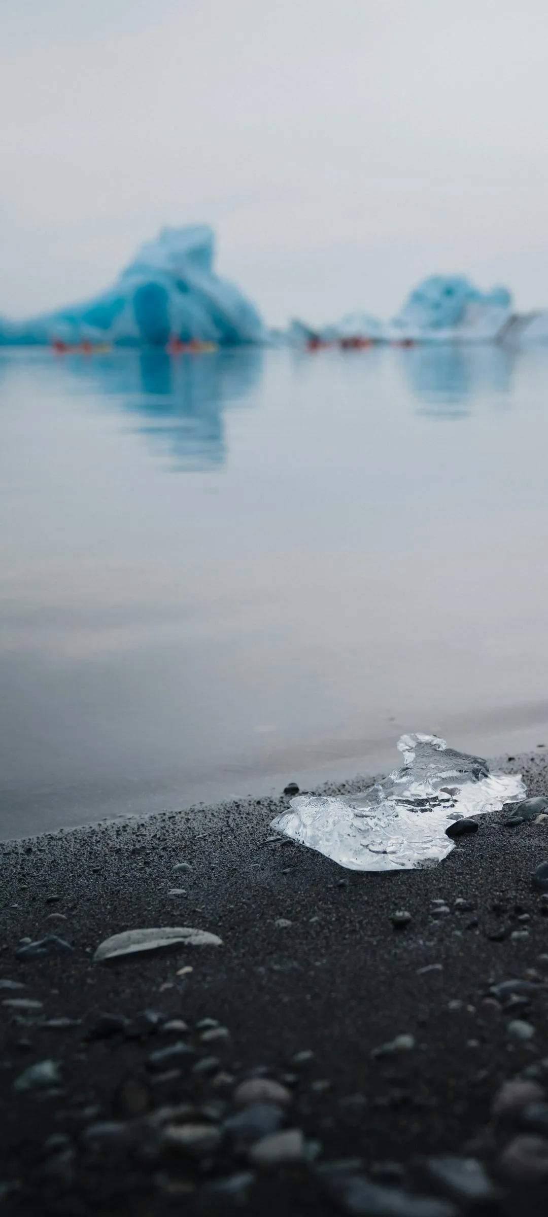 Calm Arctic Landscape with Floating Icebergs Reflection