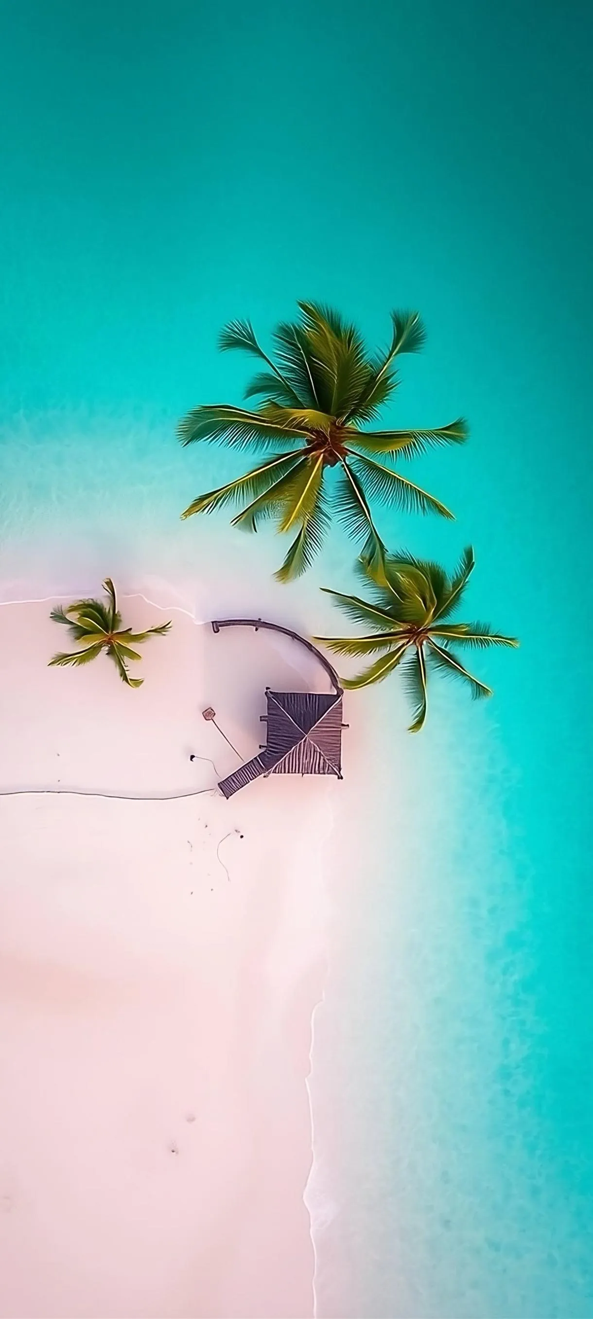 Calm Beach Vibes with Palm Trees and Blue Sky Wallpaper