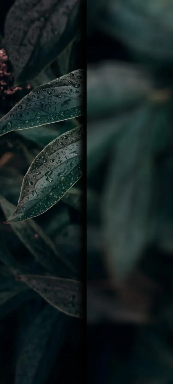 Calm Green Nature Leaves Abstract Mobile Wallpaper